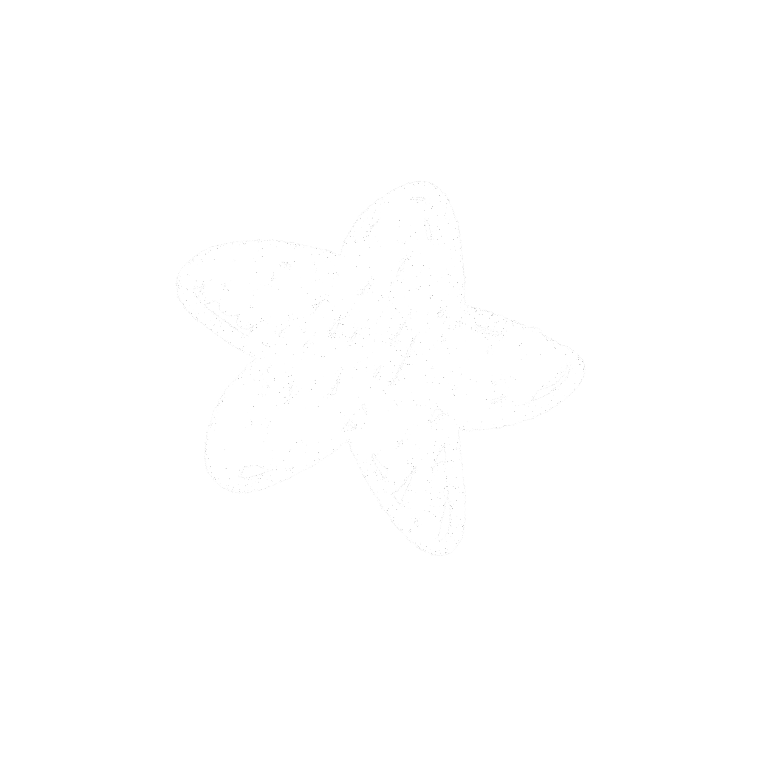 A white outline of a starfish on a black background.