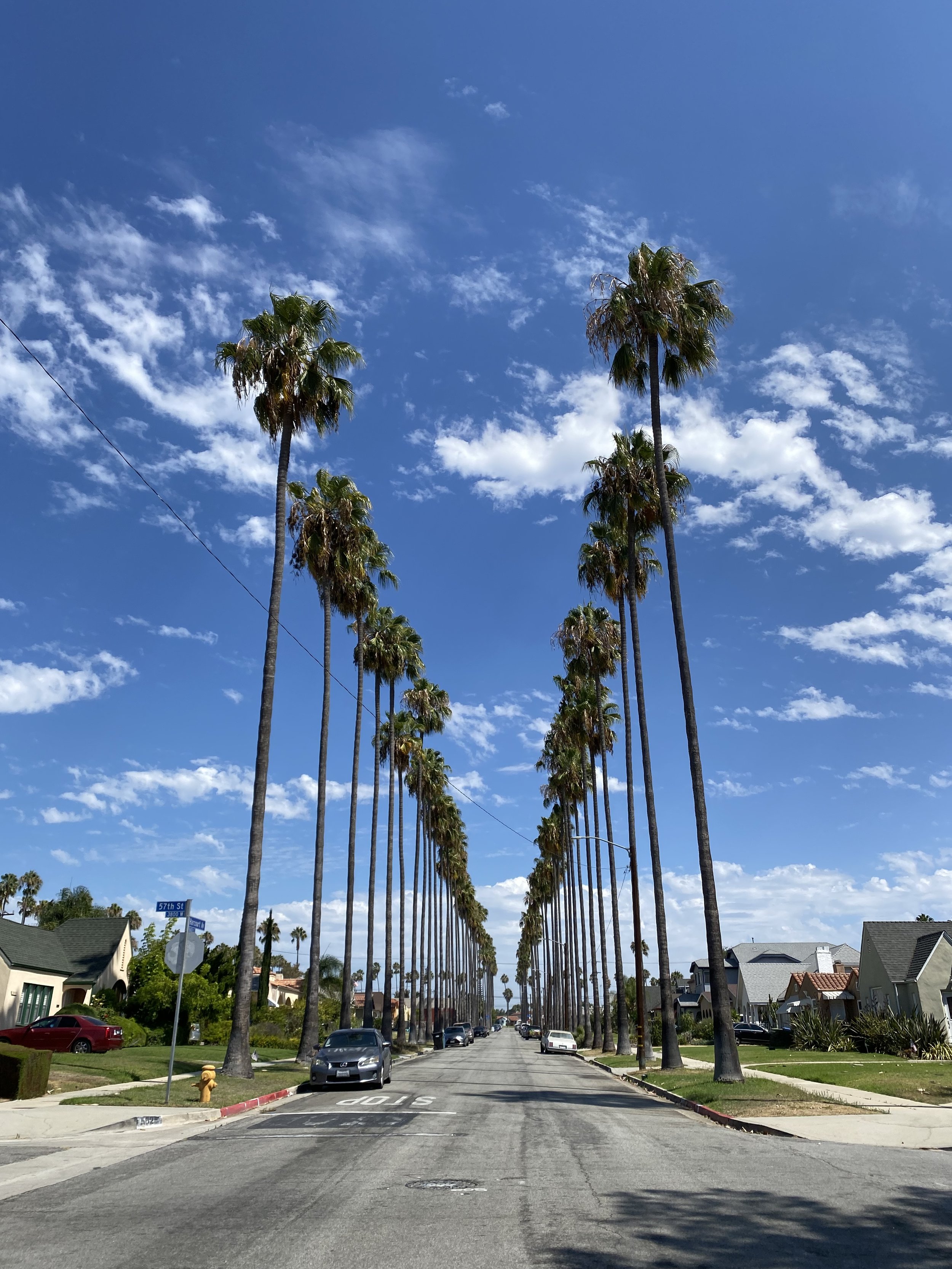 A street lined with tall palm trees under a clear blue sky with some scattered clouds. There are houses and parked cars along the road.