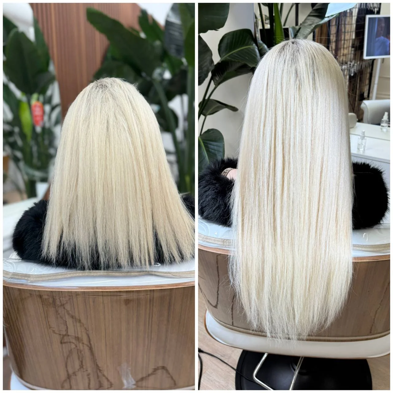 photo_2026-01-10 16.44.18.jpeg