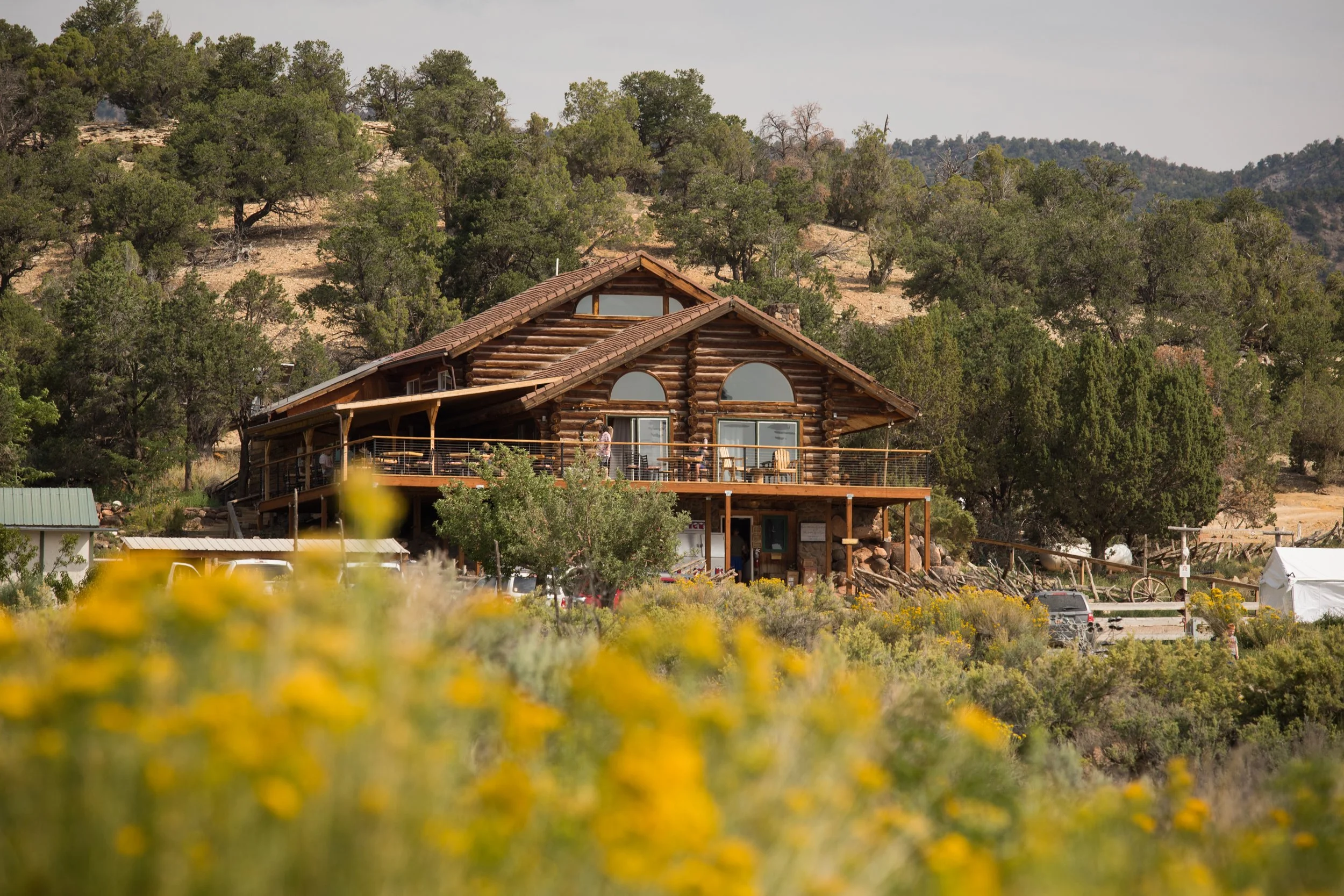 A log cabin-style house with large windows and a balcony, surrounded by trees and greenery, with a mountain landscape in the background.