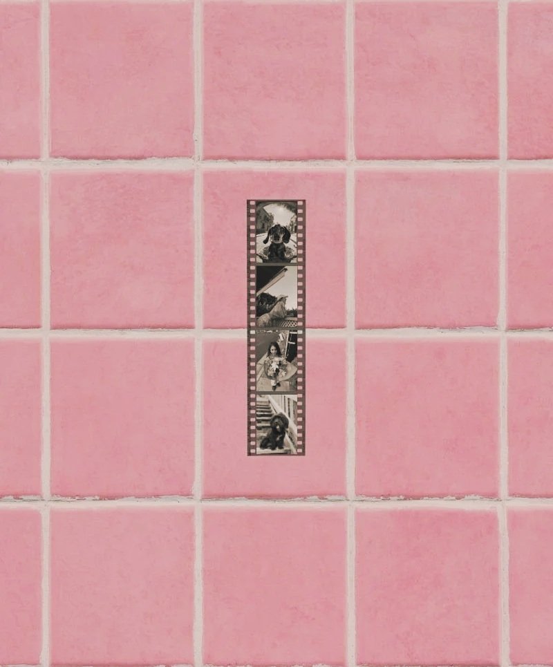 Film strip centered on a pink tiled grid