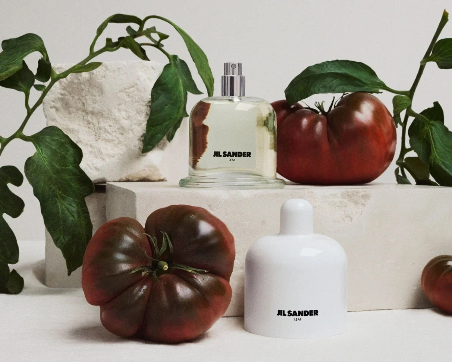 Jil Sander - Olfactory Series (1) (Leaf)