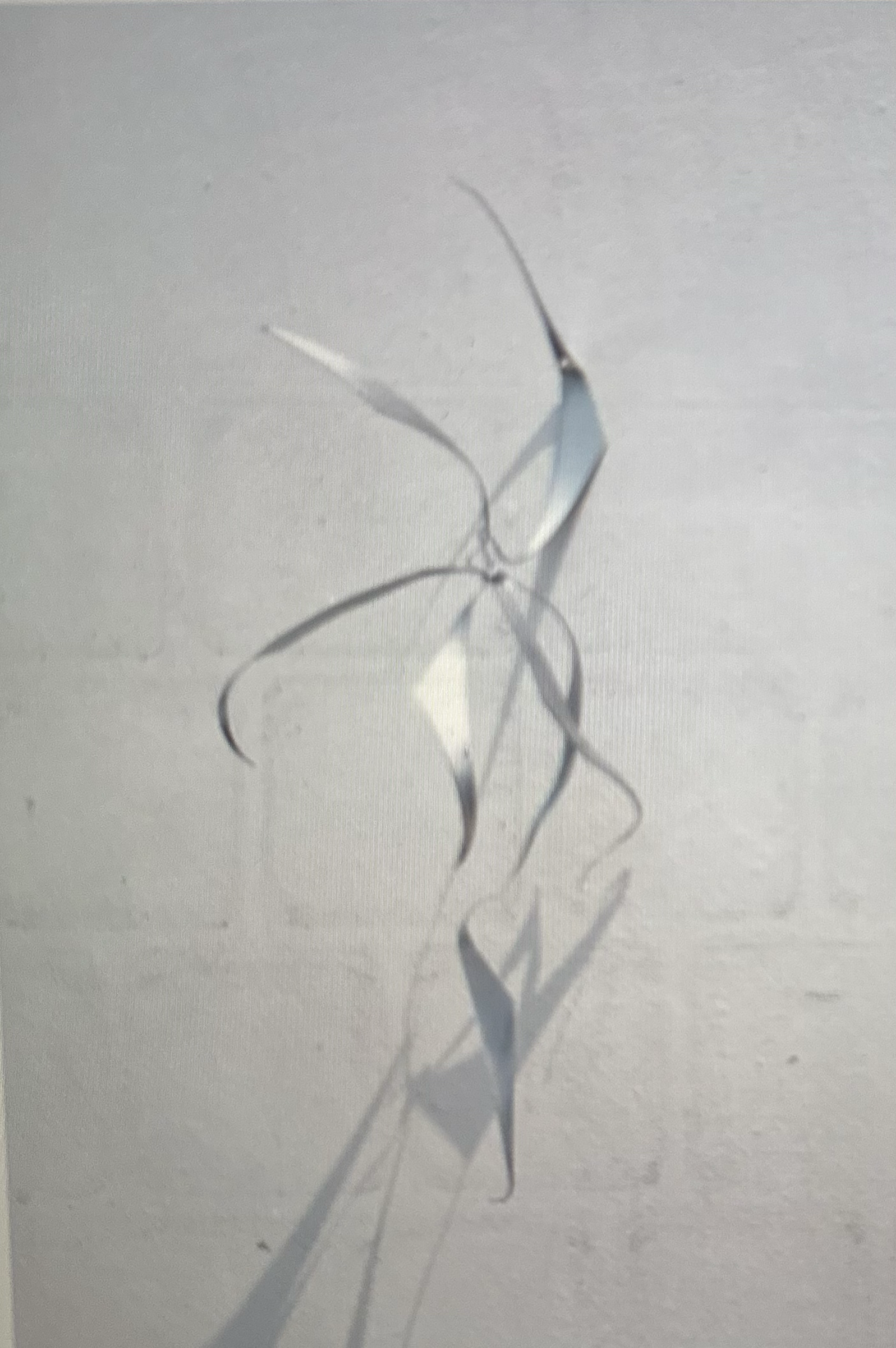 Ugo Ahiakwo, Fleeting moments of joy,
2025. Galvanized Iron,
Automotive paint, lacquer
Tilga Art Prize Finalist