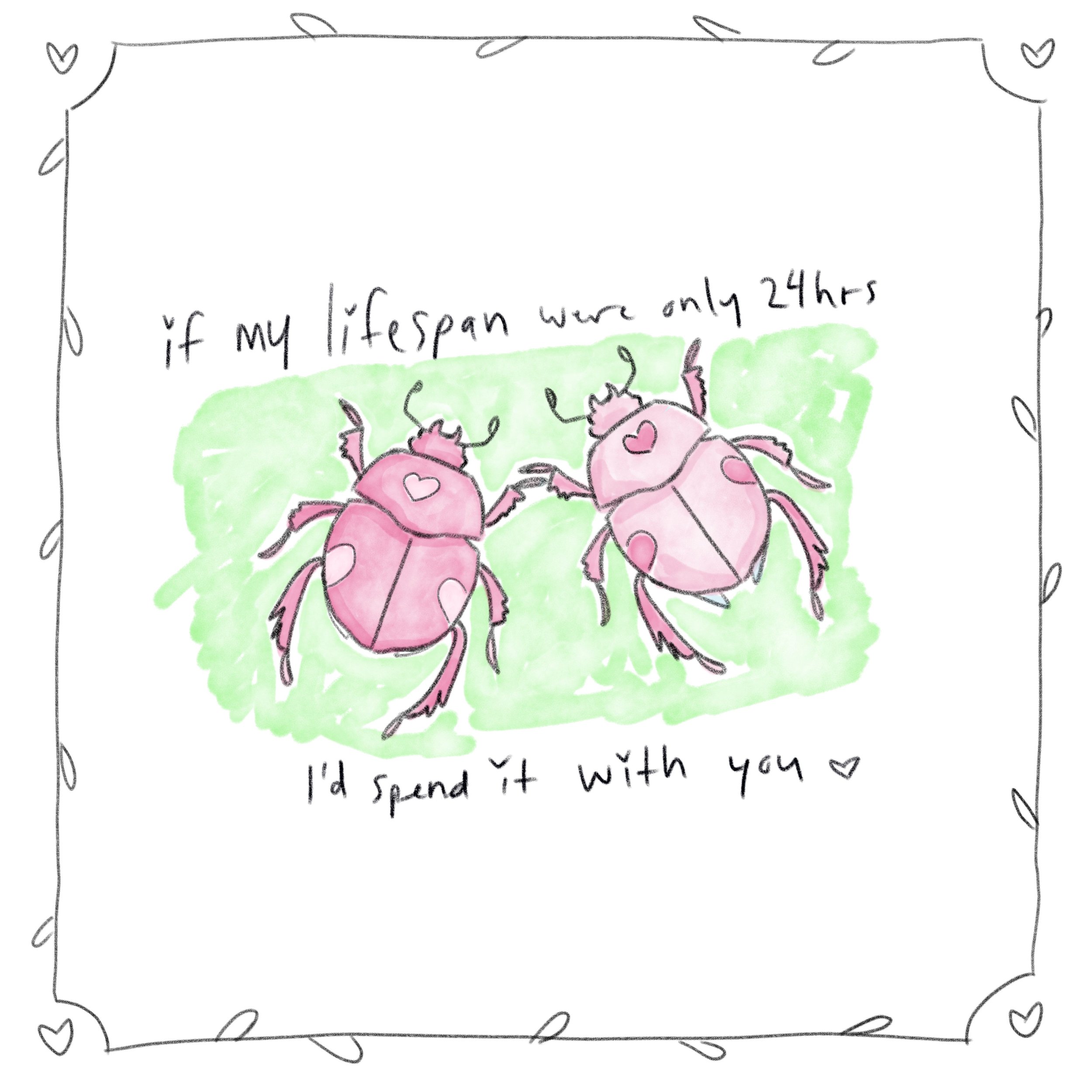 lovebugs.jpg