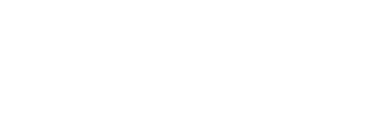110 Mission