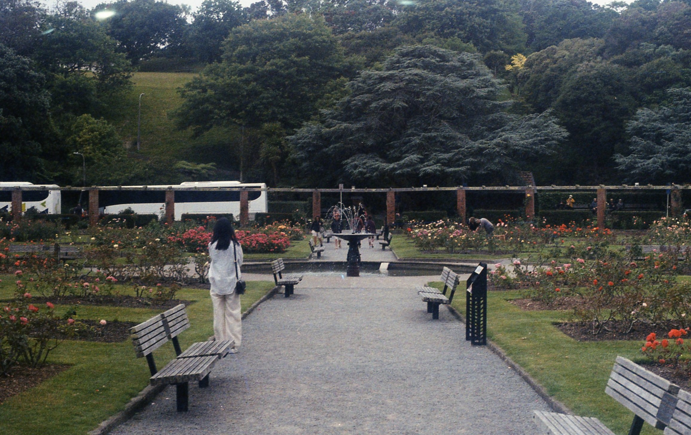 img015.jpg