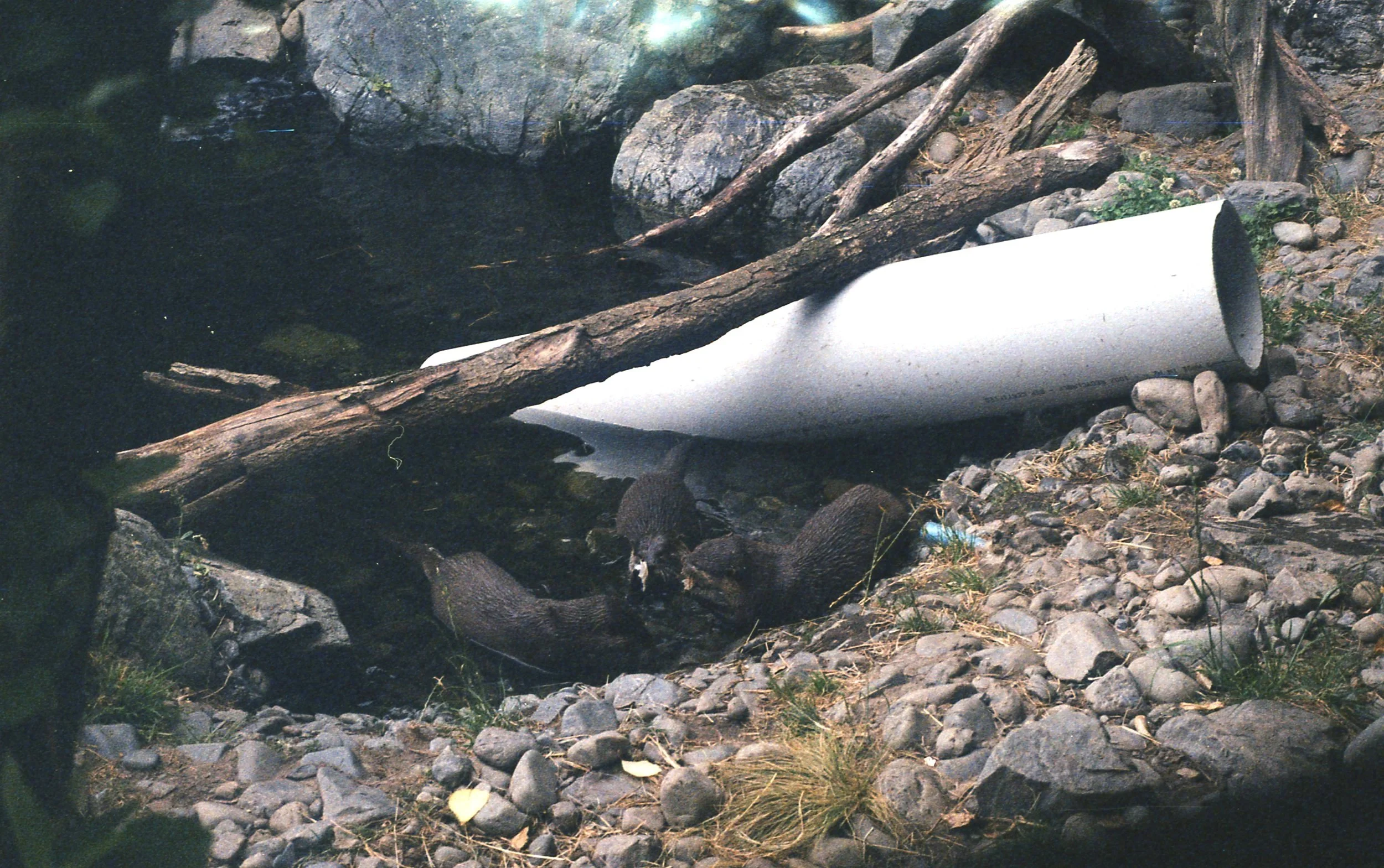 img029.jpg