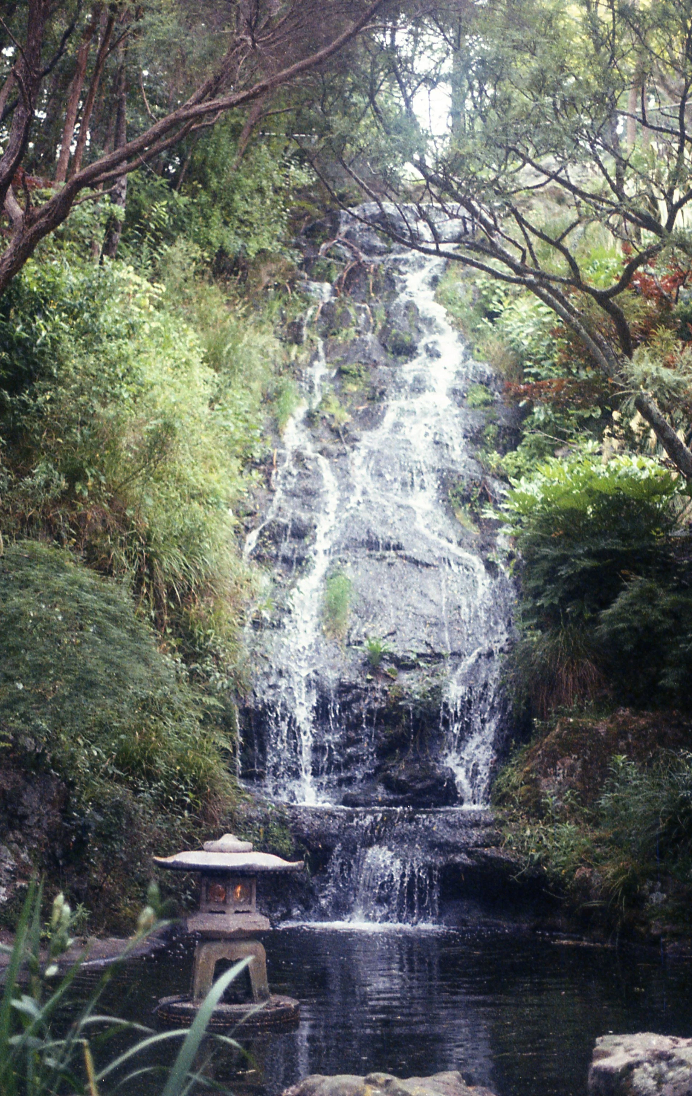 img016.jpg