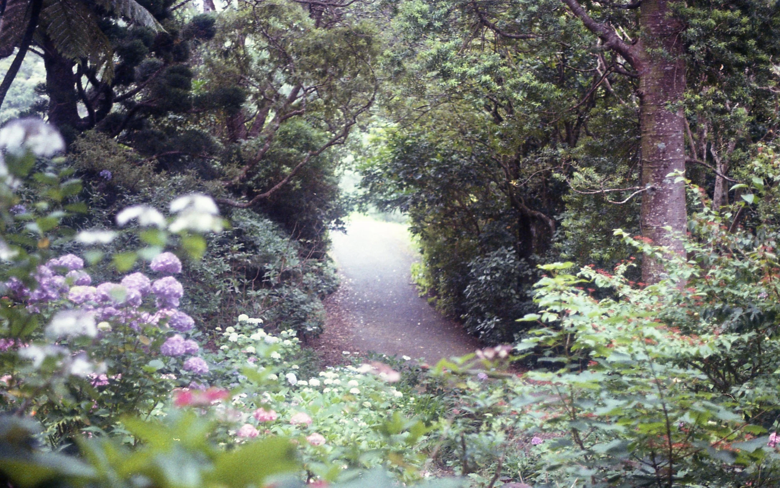 img020.jpg