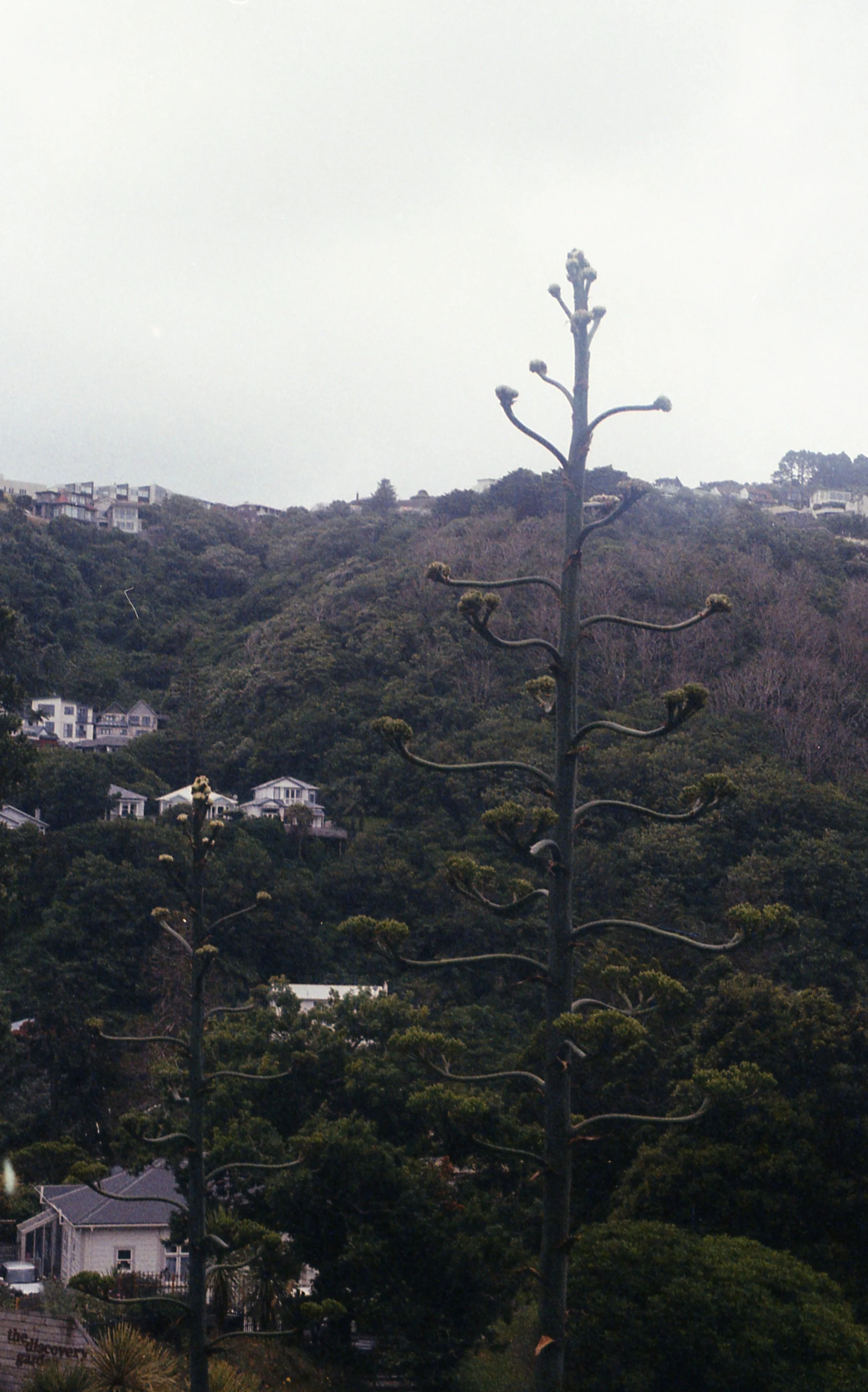 img021.jpg