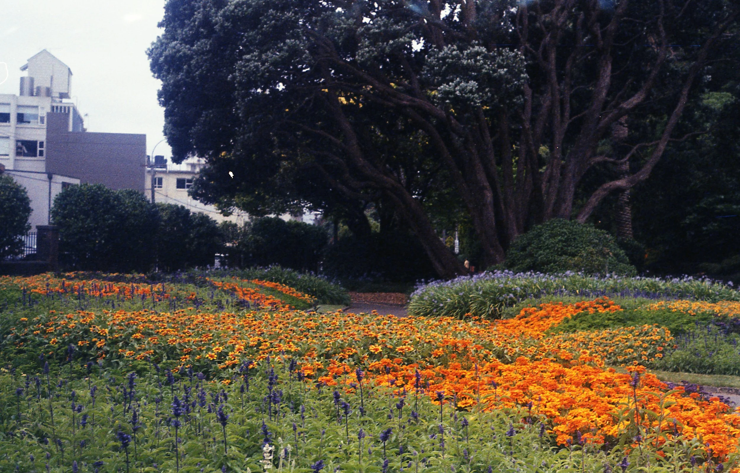 img013.jpg