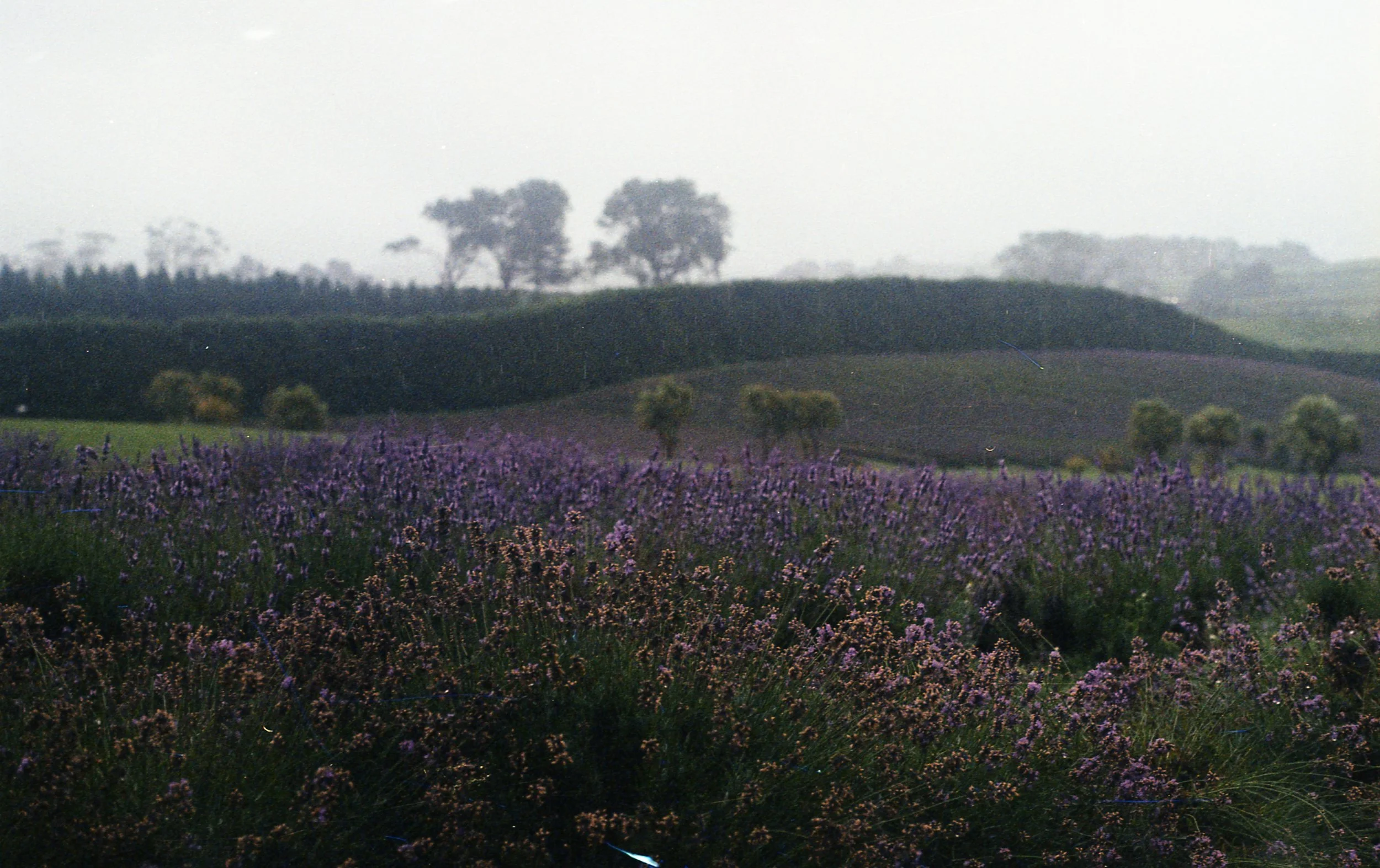 img028.jpg
