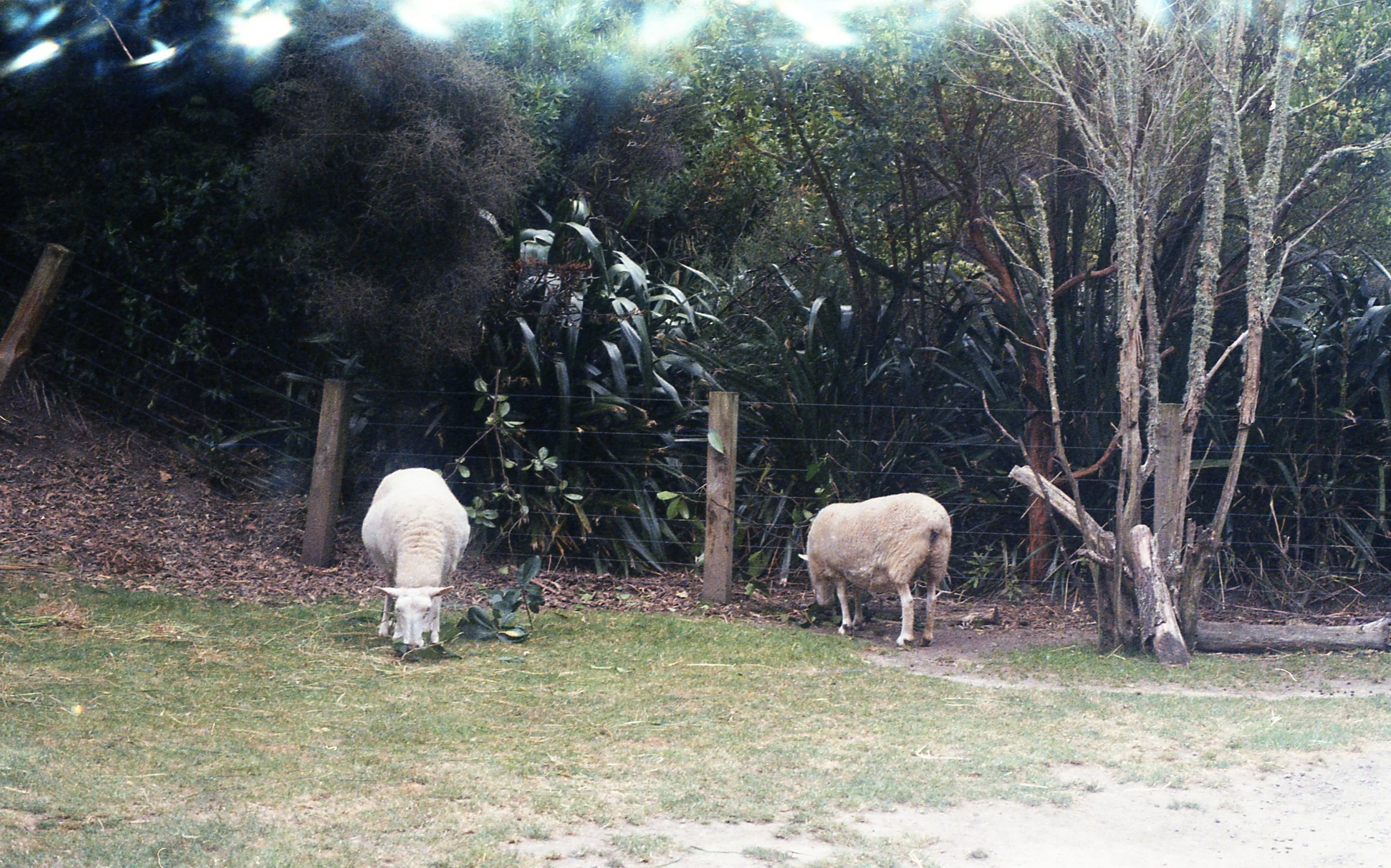 img030.jpg