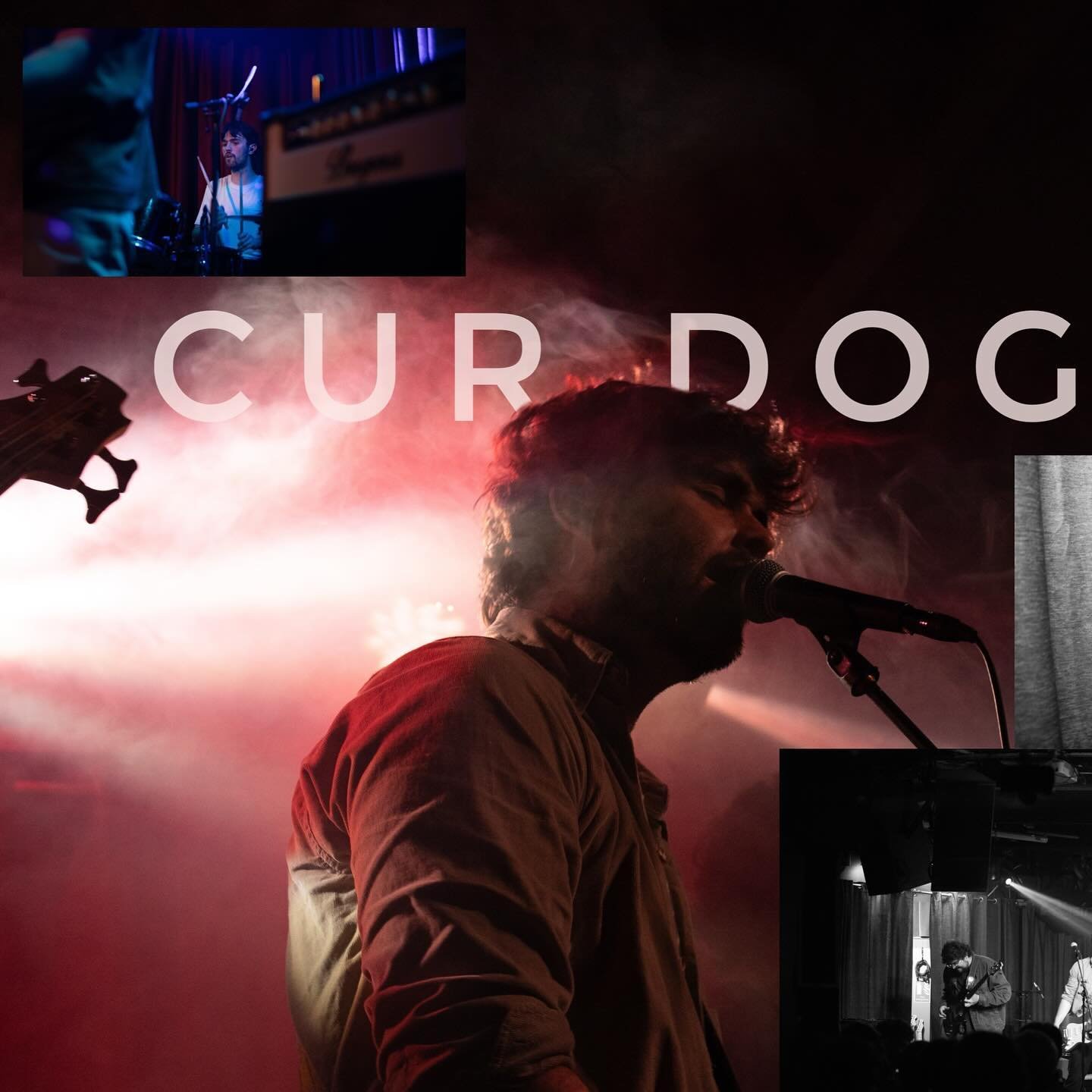 Had the opportunity to shoot @curdogsmusic last week at the @roisindubhpub. 10/10 would recommend 🪨🤘