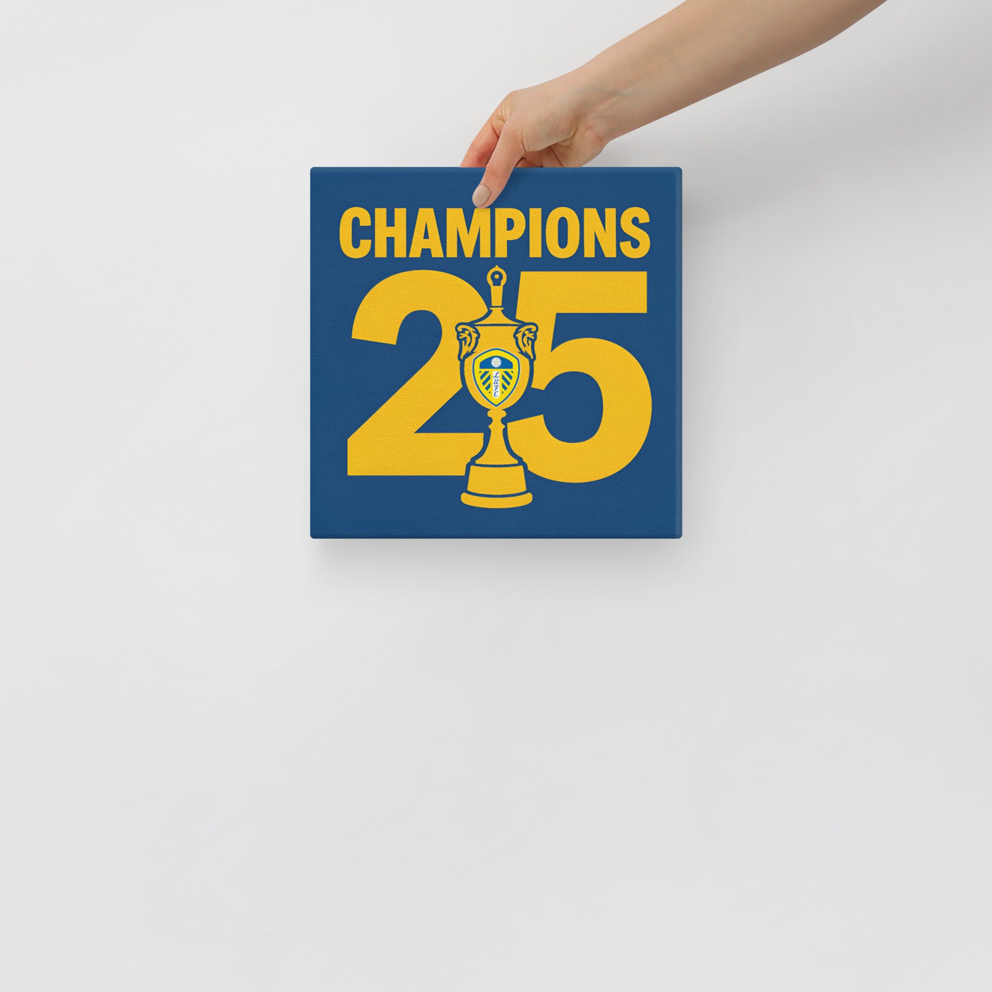canvas-(in)-10x10-front-682b11e2bcaf3.jpg