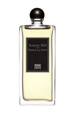 Borneo 1834