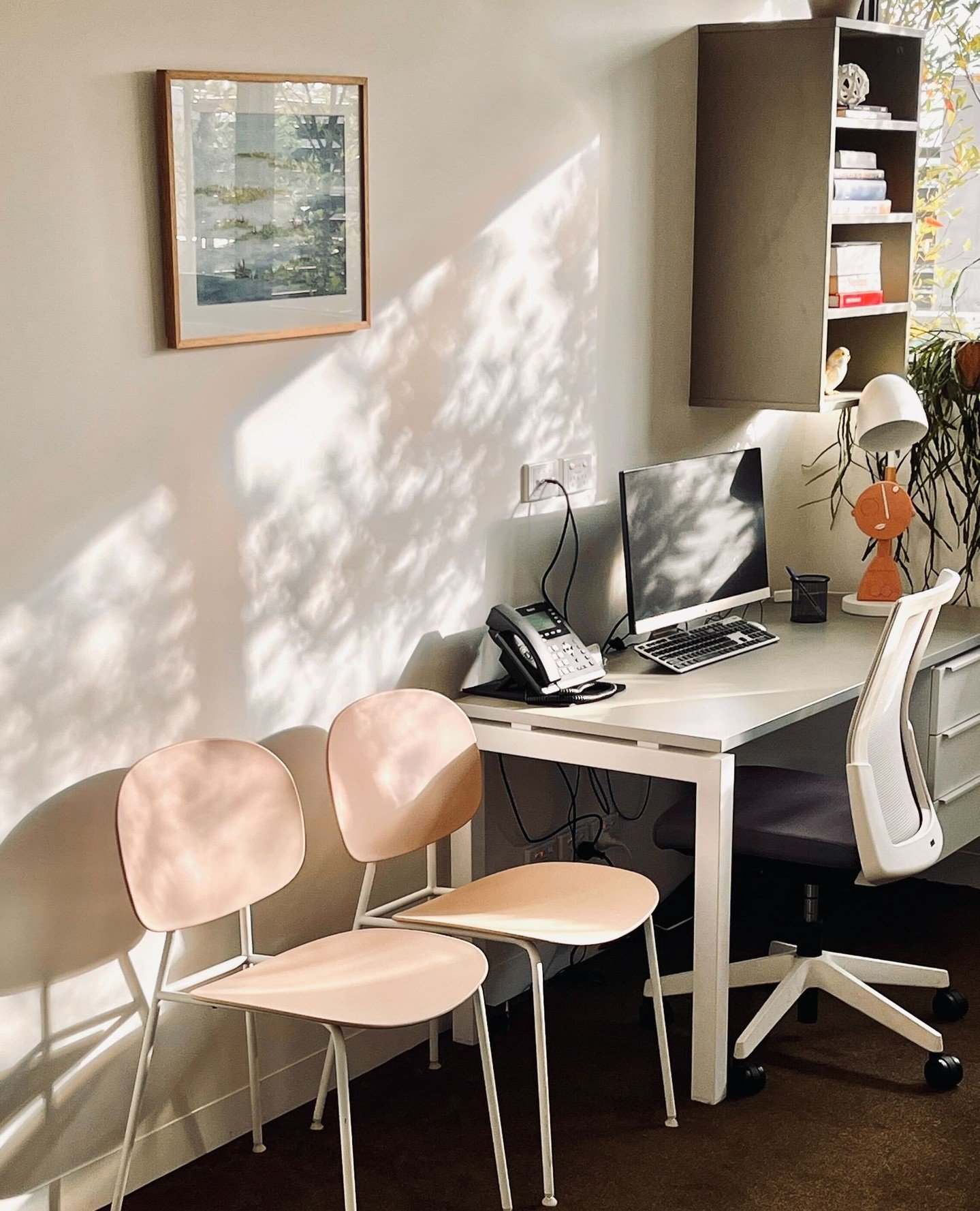 At BN our consult rooms are designed to feel calm, welcoming, and filled with light, creating a space where you can truly settle in and feel supported. Thoughtfully styled with warm interiors and natural light throughout, every detail has been consid