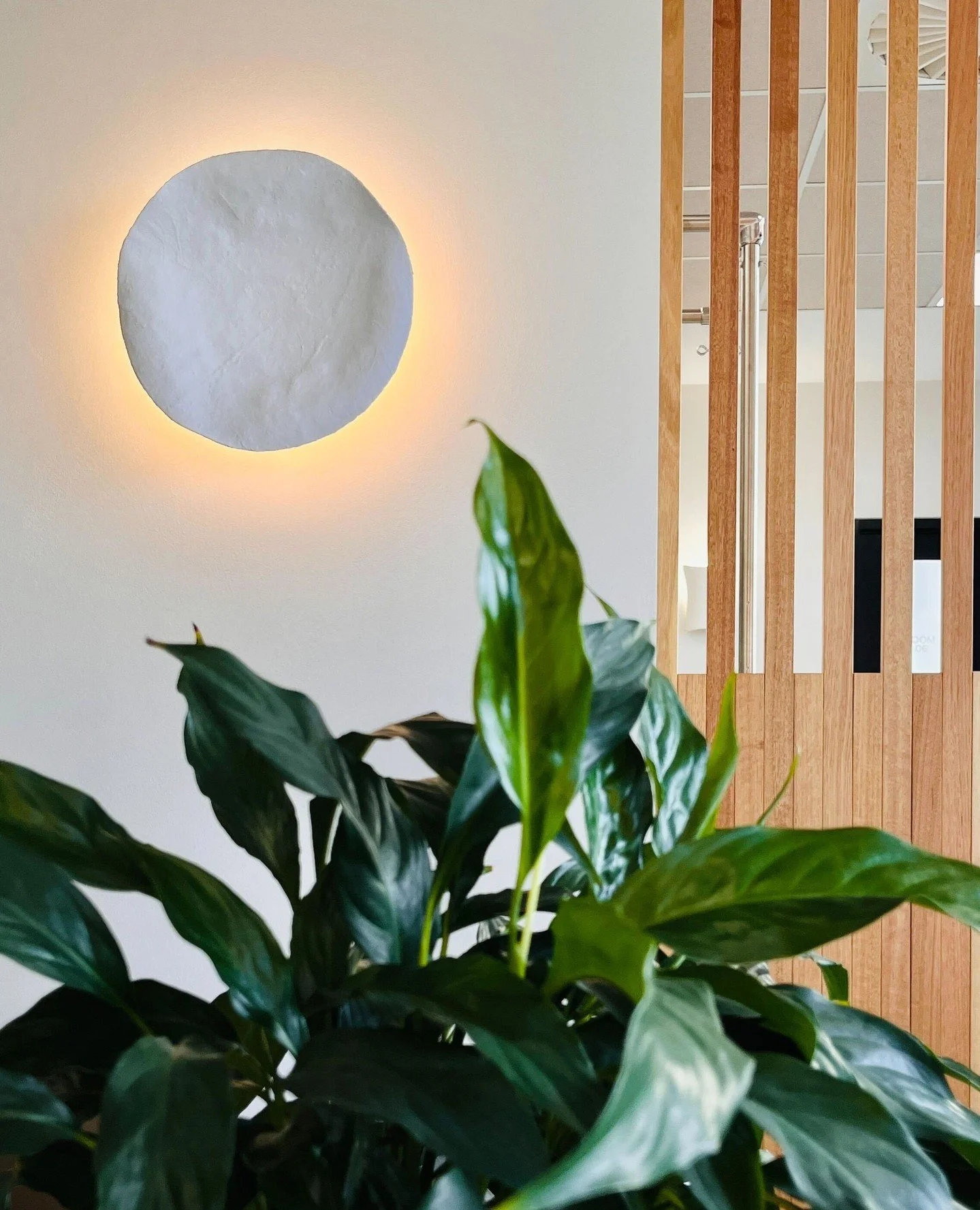 At BN, it's often the little things that people notice first.⁠
⁠
The greenery that softens the space. The feel-good music playing quietly in the background. The calming scents as you walk through the door. The soft lighting, light-filled rooms, and t