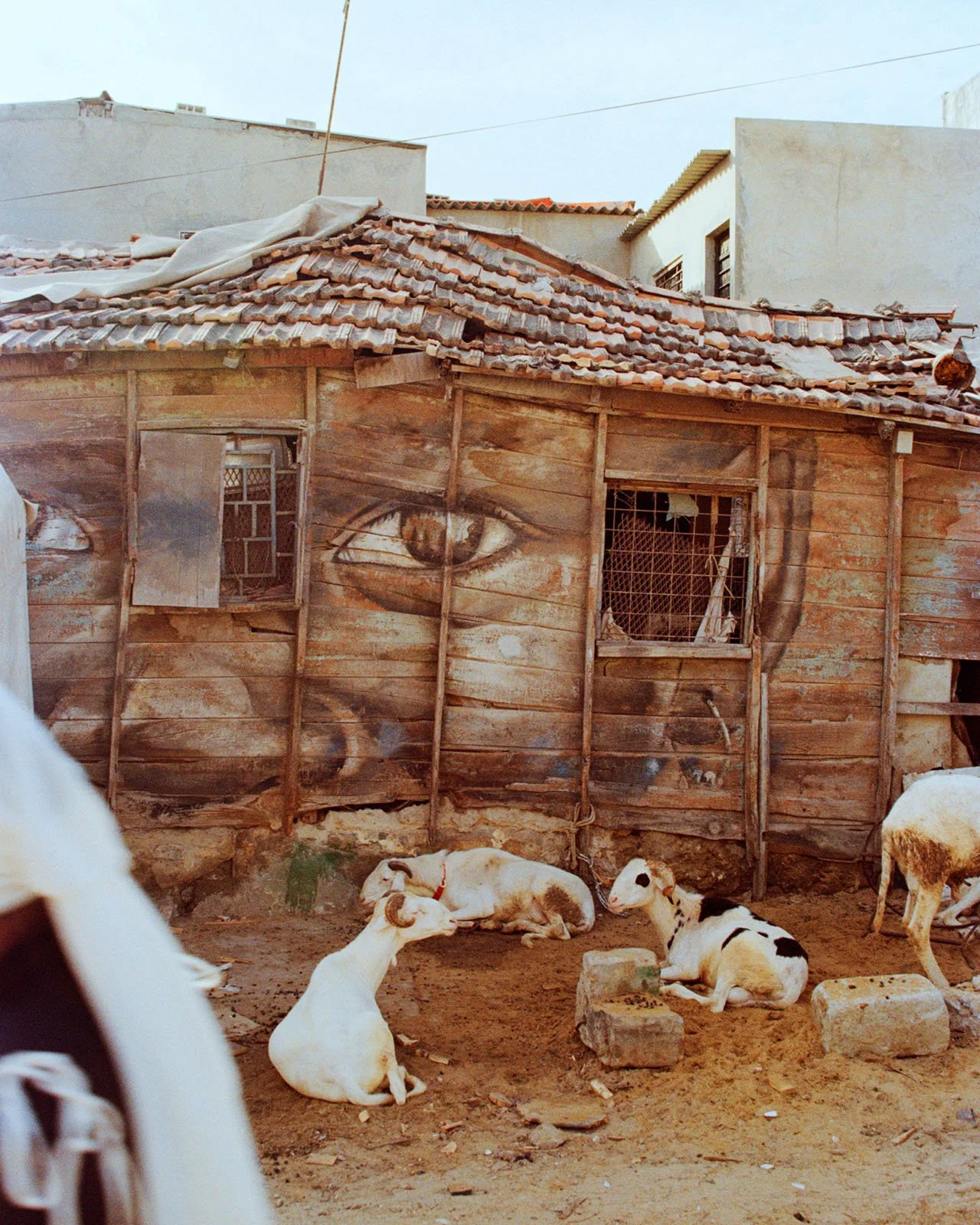 ROBERTNILSSON_NUMERO_ART IN DAKAR_004.jpg