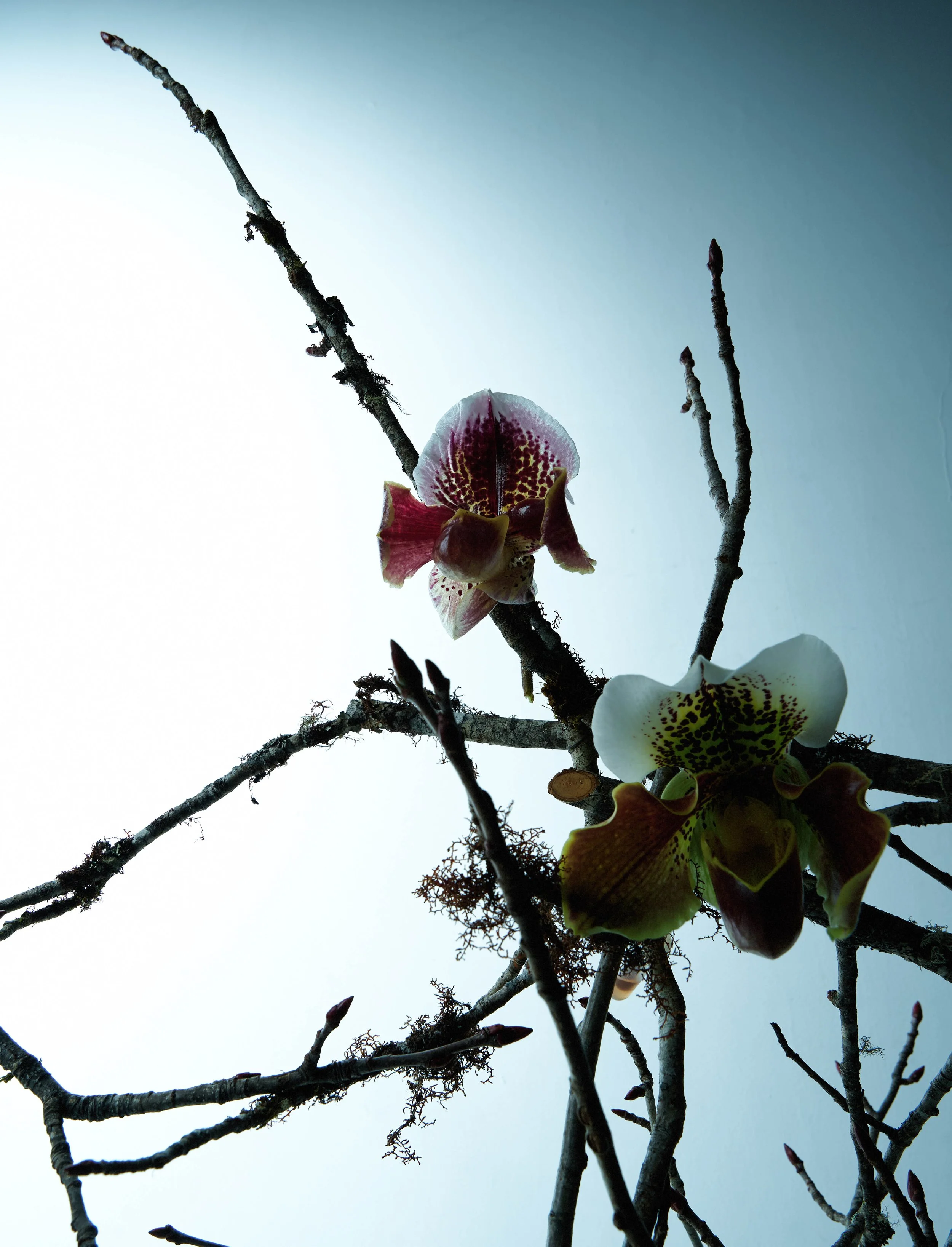 CHUAN_19-27-52 拷貝 2.jpg