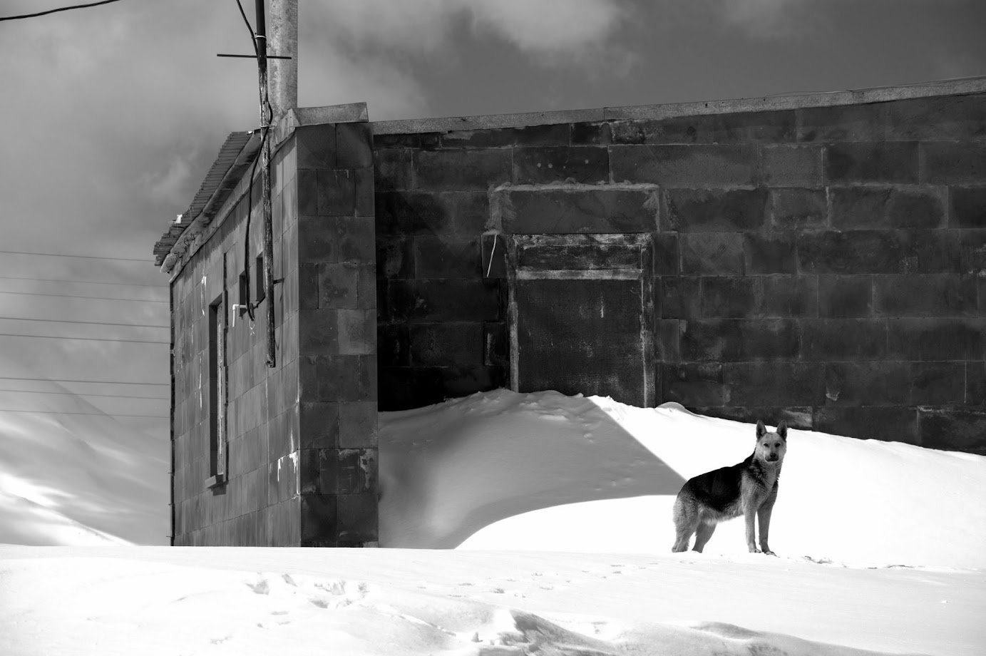 Melanie Alt, Hundetraining Wild and Wise, Ganzheitliches Hundetraining, Rund um Schongau Weilheim Landsberg Tierschutzhunde, positives Hundetraining, entspannter Hund, Straßenhund, Mensch-Hund Beziehung, Hundeschule Melanie Alt