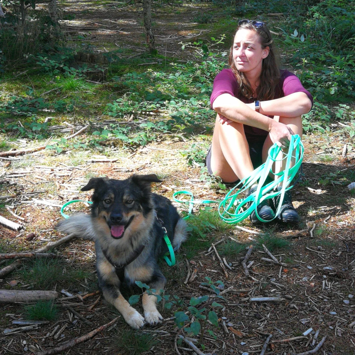 Herdenschuthund, Hundeschule Schongau Landsberg, Hundetraining, gestresster Hund, positives Hundetraining, Hund Schongau Landsberg