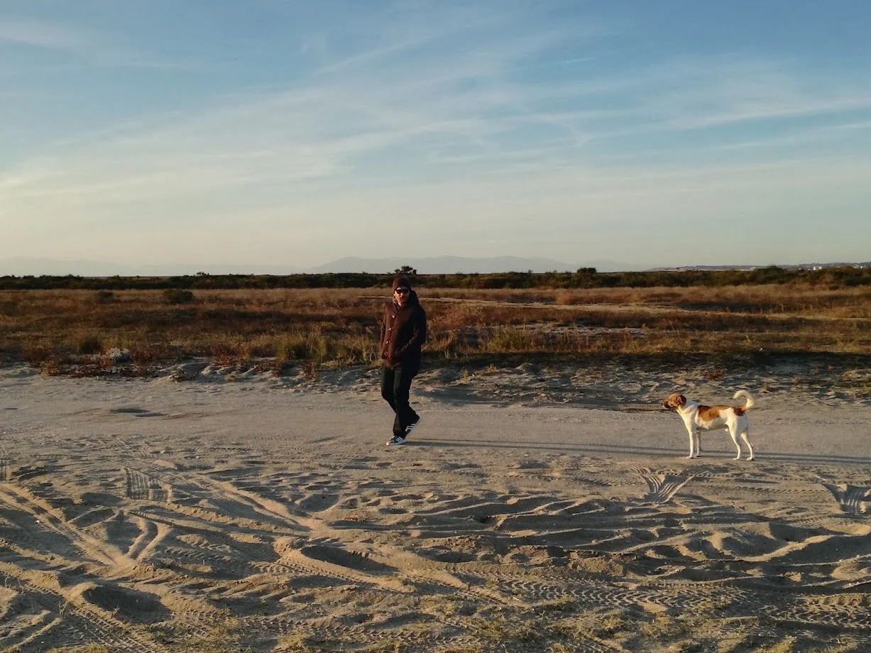 Melanie Alt, Hundetraining Wild and Wise, Ganzheitliches Hundetraining, Rund um Schongau Weilheim Landsberg Welpen Tierschutzhunde Pariahund, positives Hundetraining, entspannter Hund, Leinenführig, Freilauf, Rückruf, Jagdverhalten, Stressfrei Alltag
