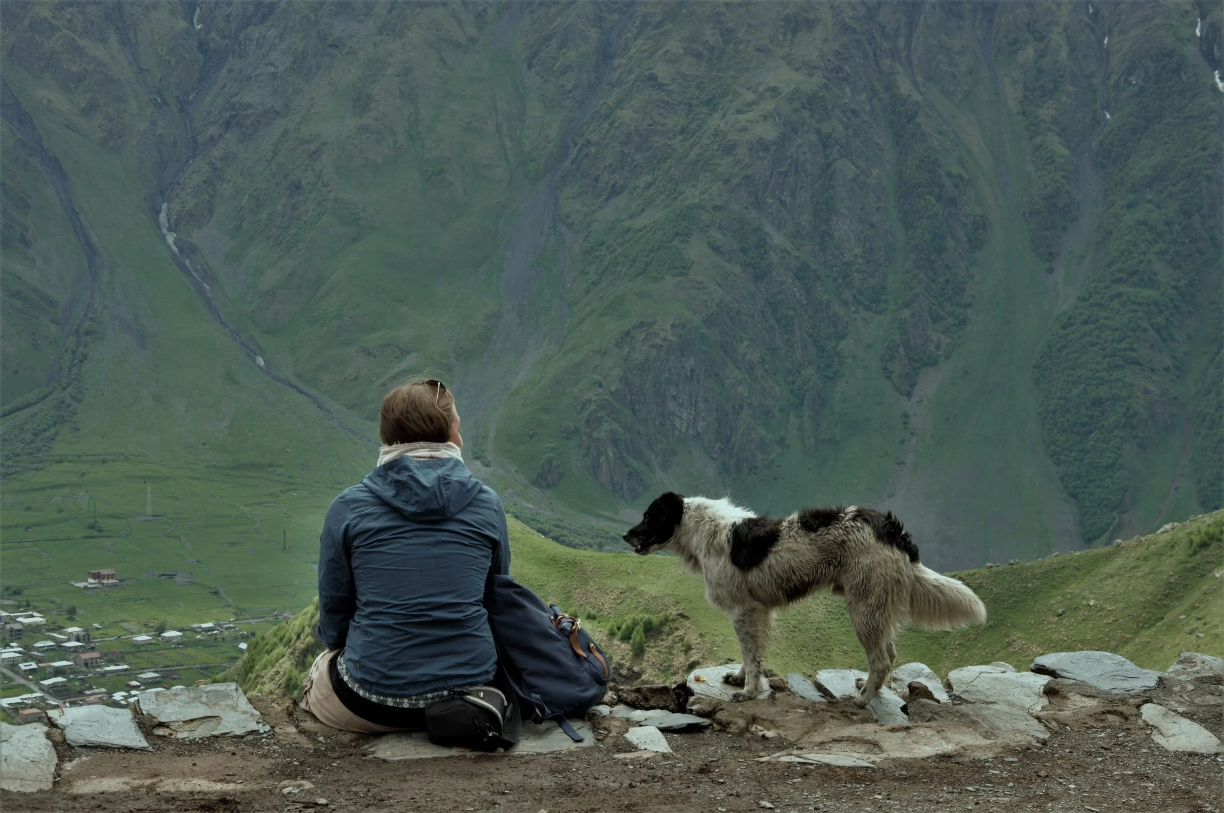 Melanie Alt, Hundeschule Schongau, Hundeschule Landsberg, Hundetraining Weilheim Hundetraining Schongau, Hundetraining Landsberg, Leinenführigkeit, Rückruf, Begegnung, Ruhetraining, Hundetraining, Herdenschutzhund, entspannter Hund