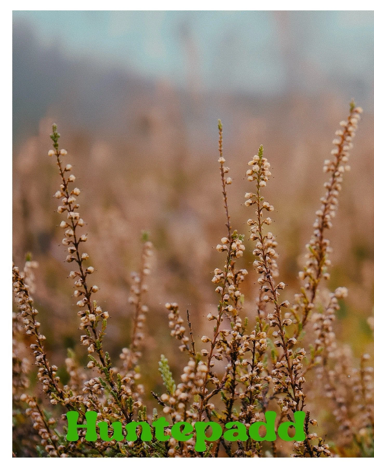 Shoot on Sony a7iii | 28-70mm f3.5

#huntepaddind&ouml;tlingen #huntepadd