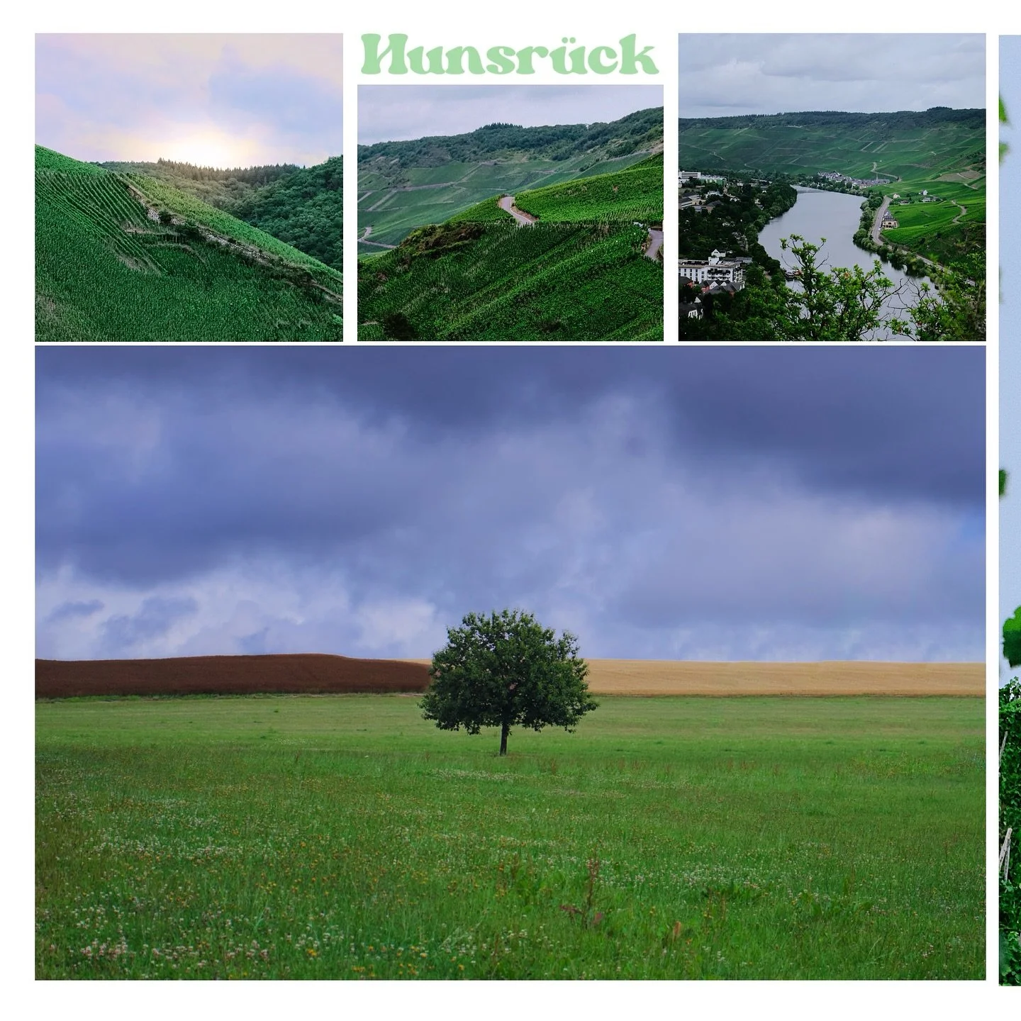 Landschaftsfotos und Portraits aus dem Hunsr&uuml;ck

Shoot on Sony a7iii II Sony 18-200 f.3,5-6,3

#hunsr&uuml;ck #triergermany #landschaftsfotograﬁe