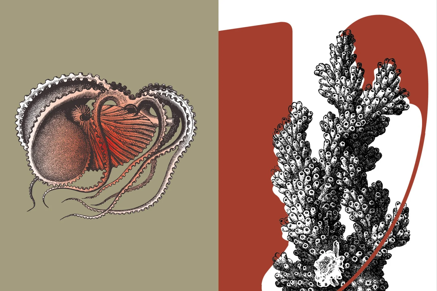 Pivot SCHEDA13.jpg