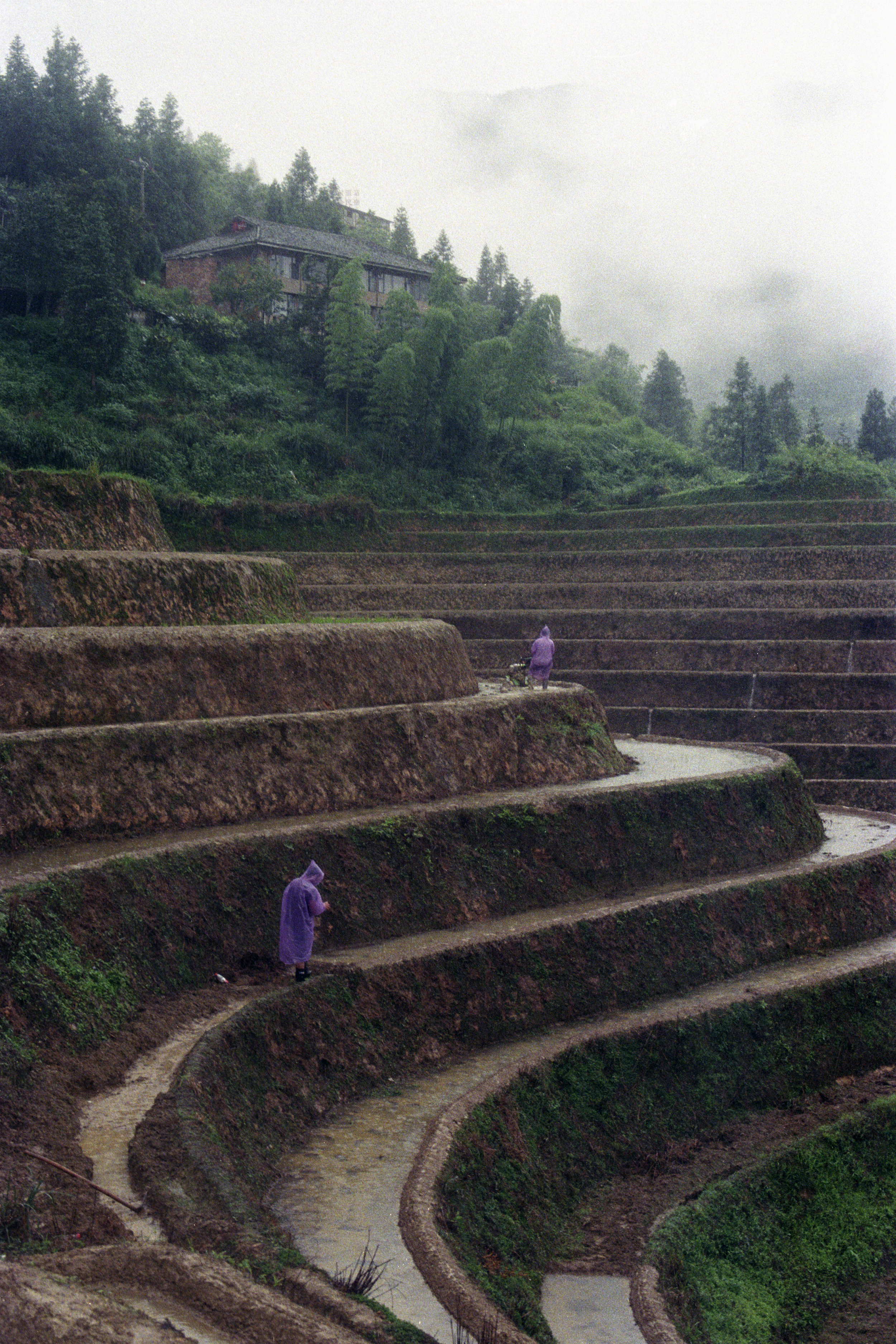 Untitle - Guangxi, China, 2023- Film photography (4).png