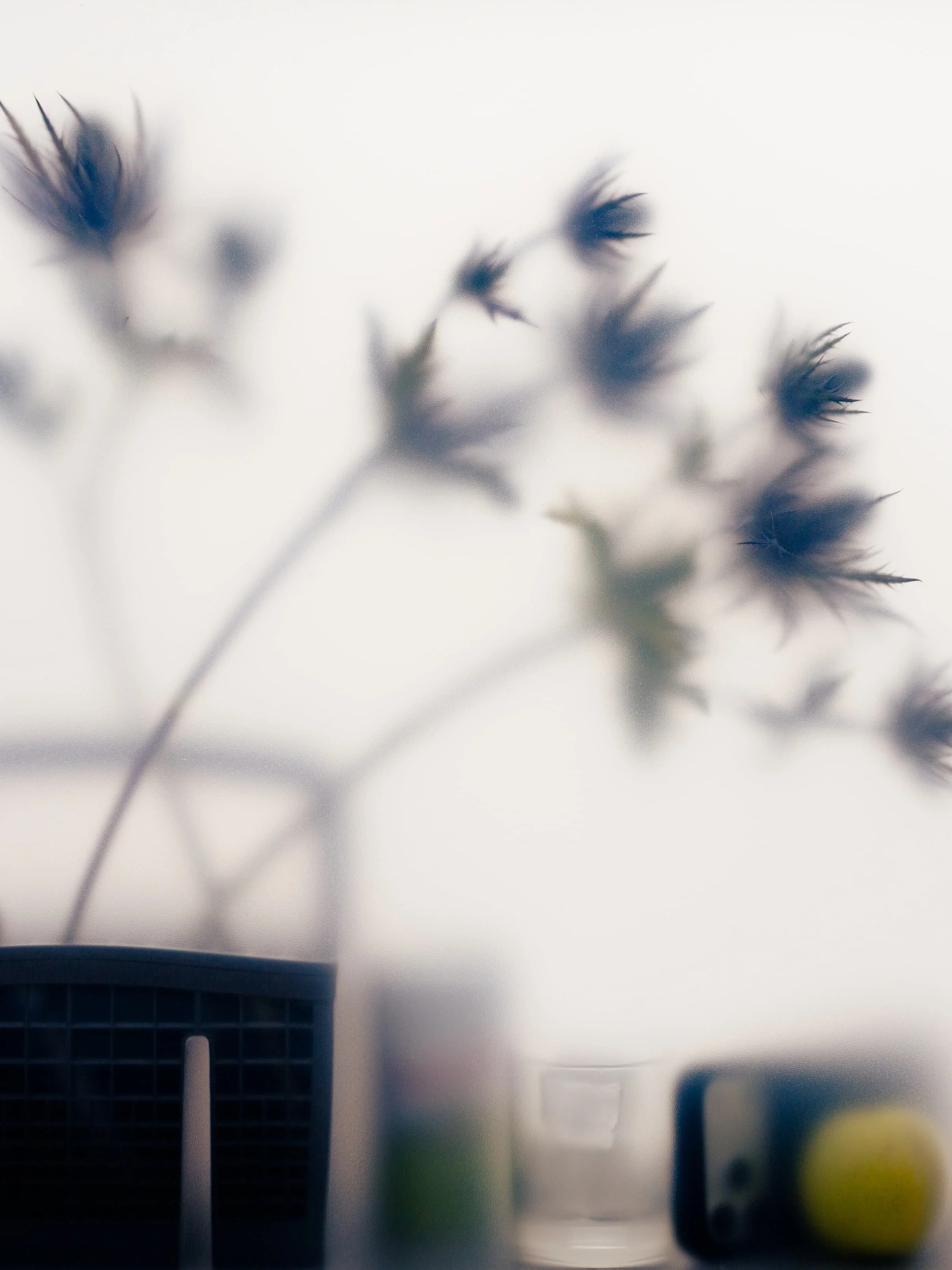 Abstract still life photograph of flowers seen through a translucent surface by Yaroslav Prytula, still life photographer working across Manchester and London.