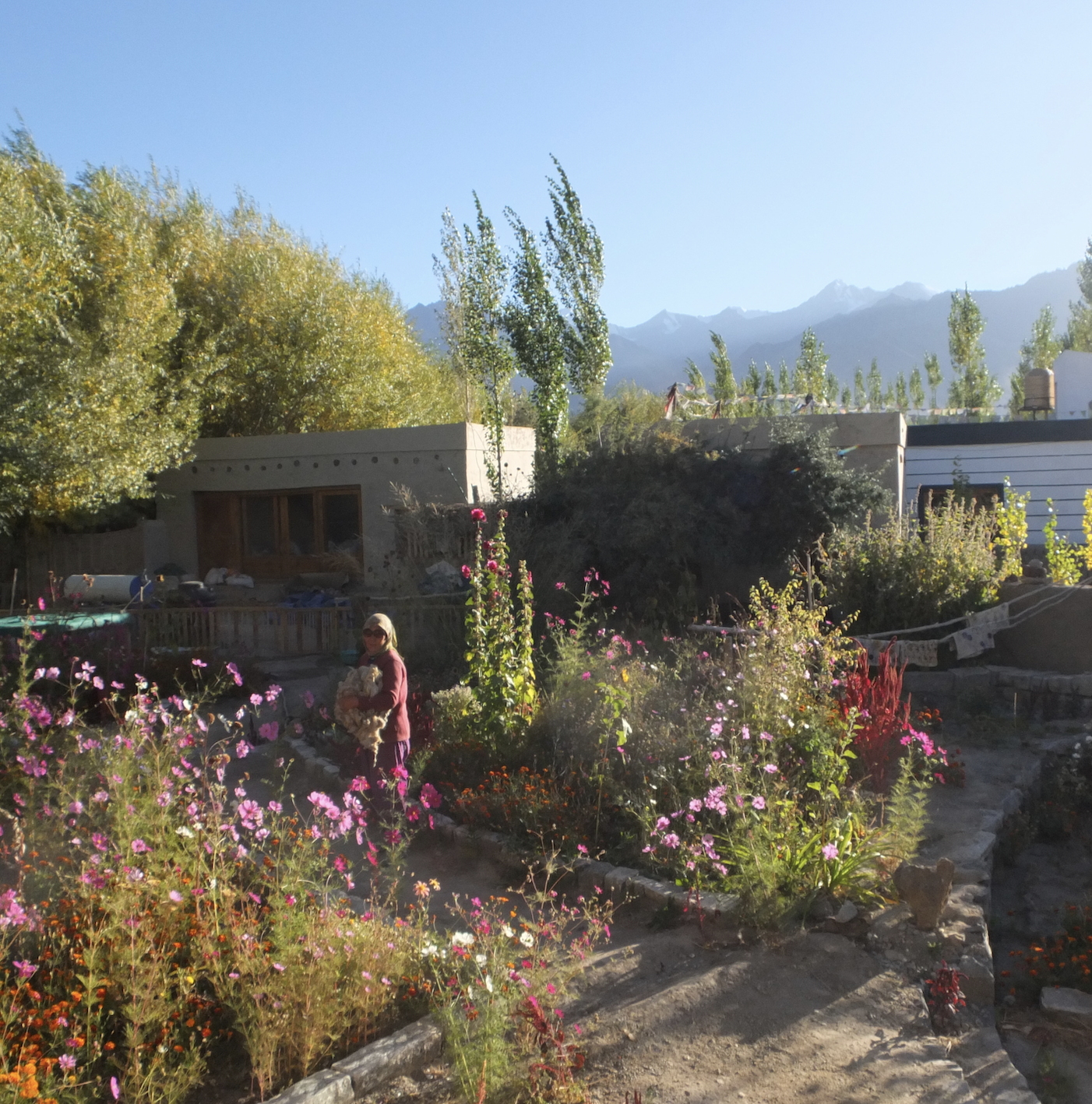 Screenshot 2023-10-08 at 10.04.23 AM.png