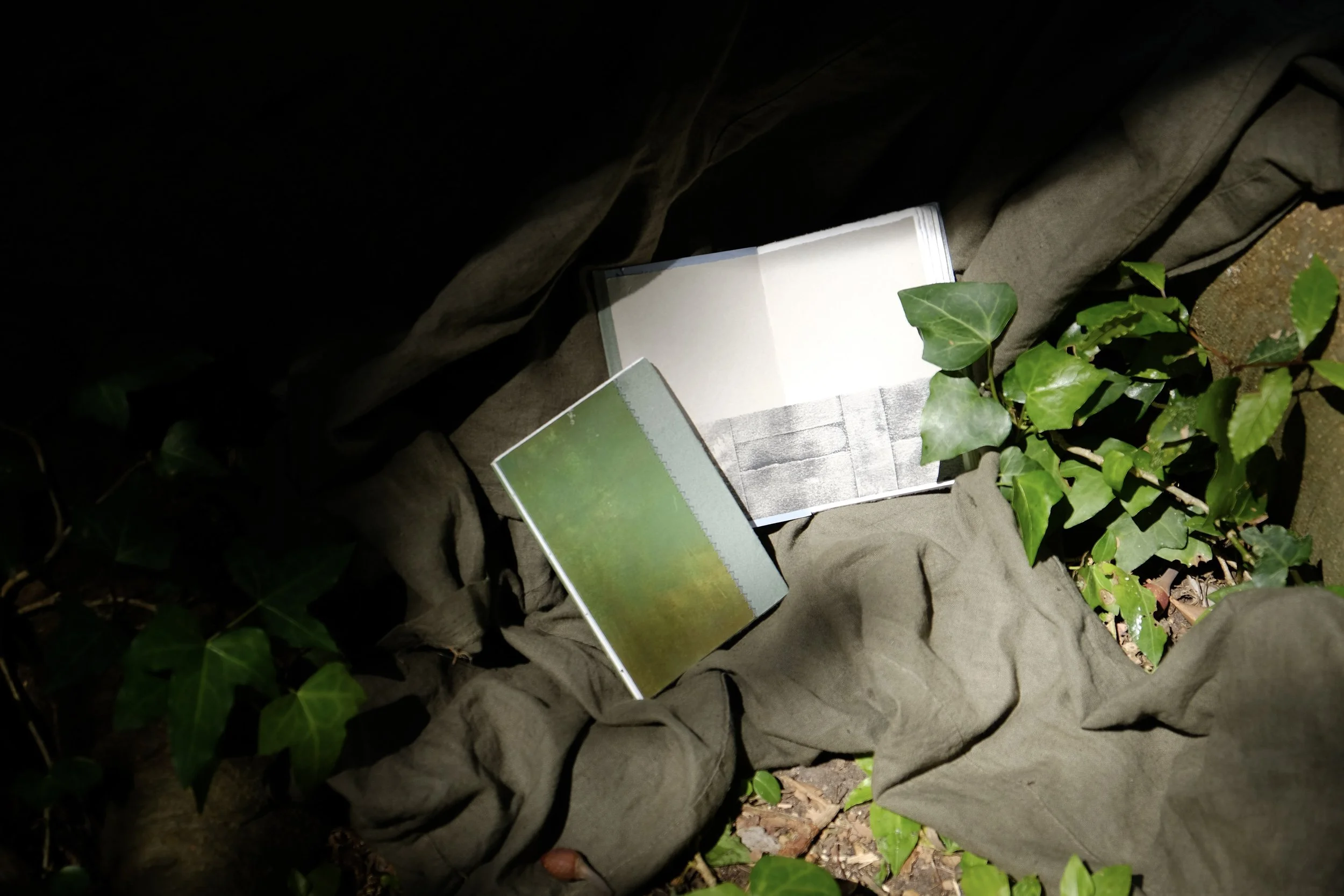 Open book and a sketchbook on brown fabric surrounded by green ivy leaves.
