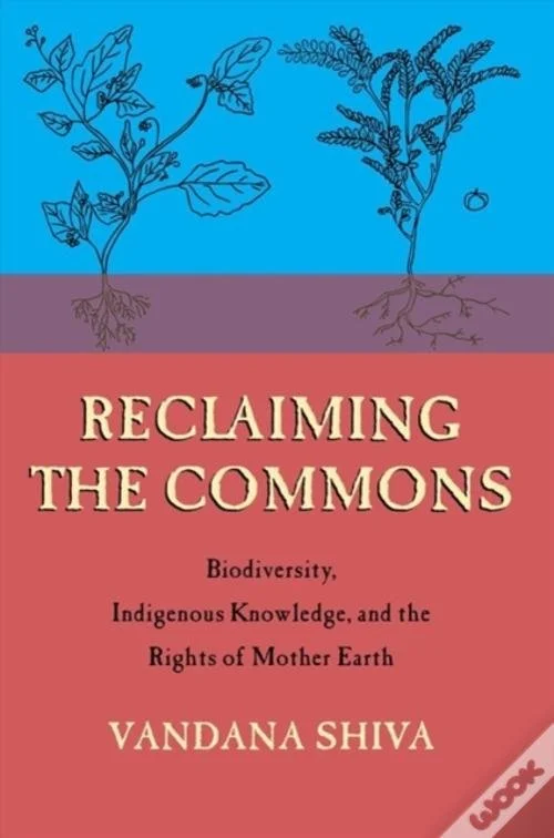 reclaiming the commons.jpg