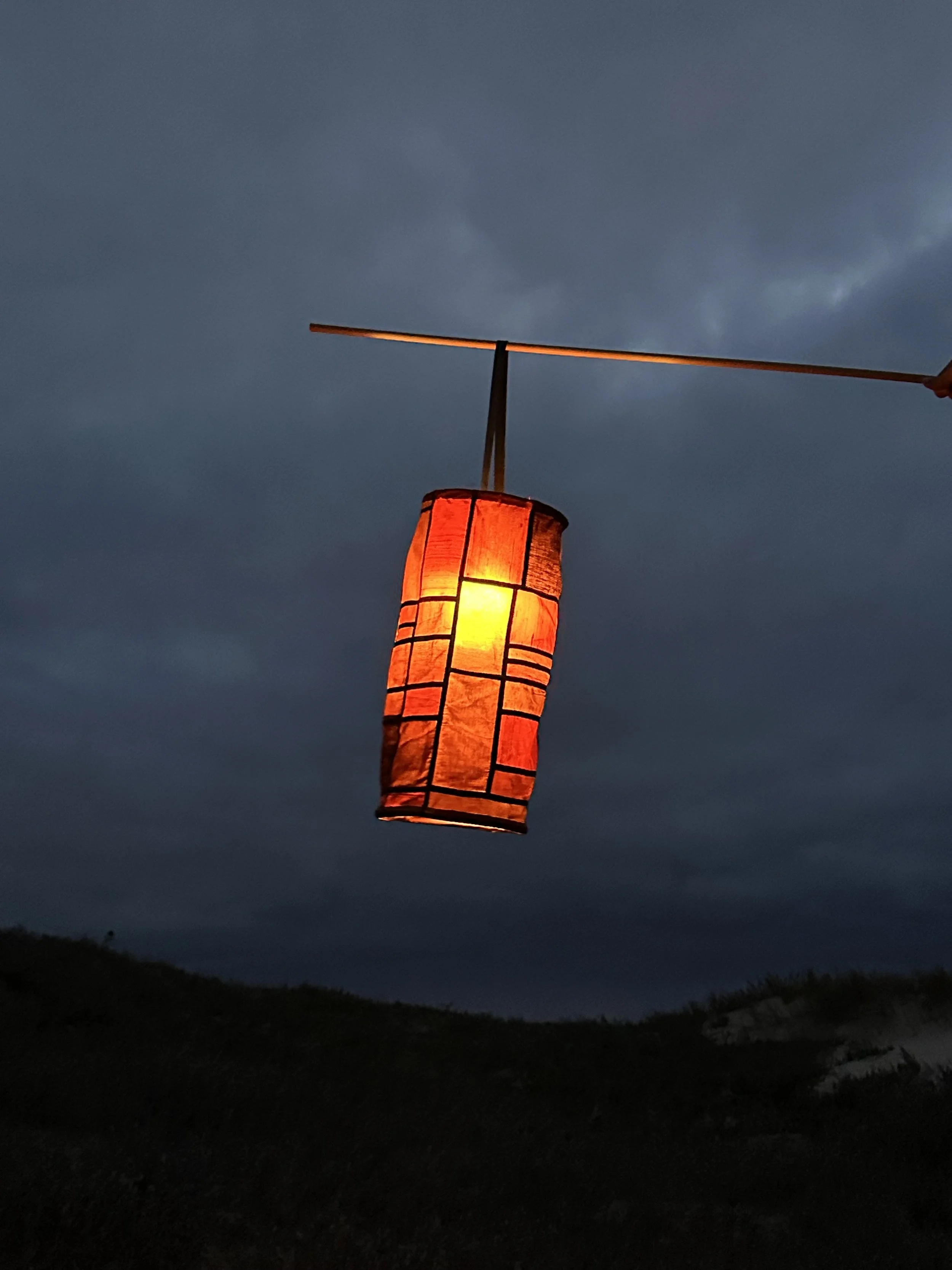 Pojagi Lampshades