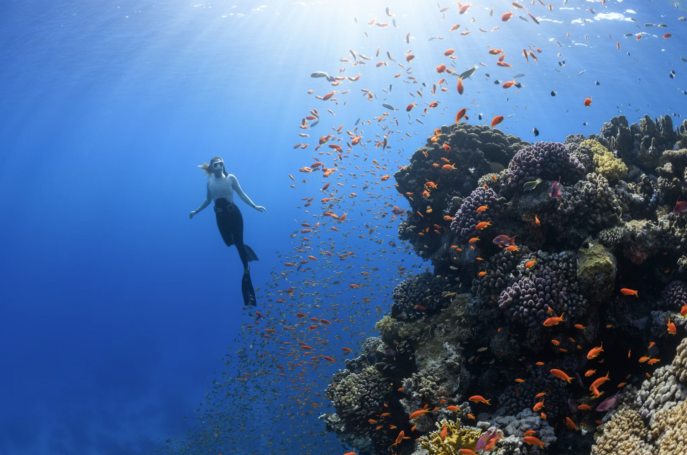 Capture d’écran 2026-02-04 à 23.32.16.png