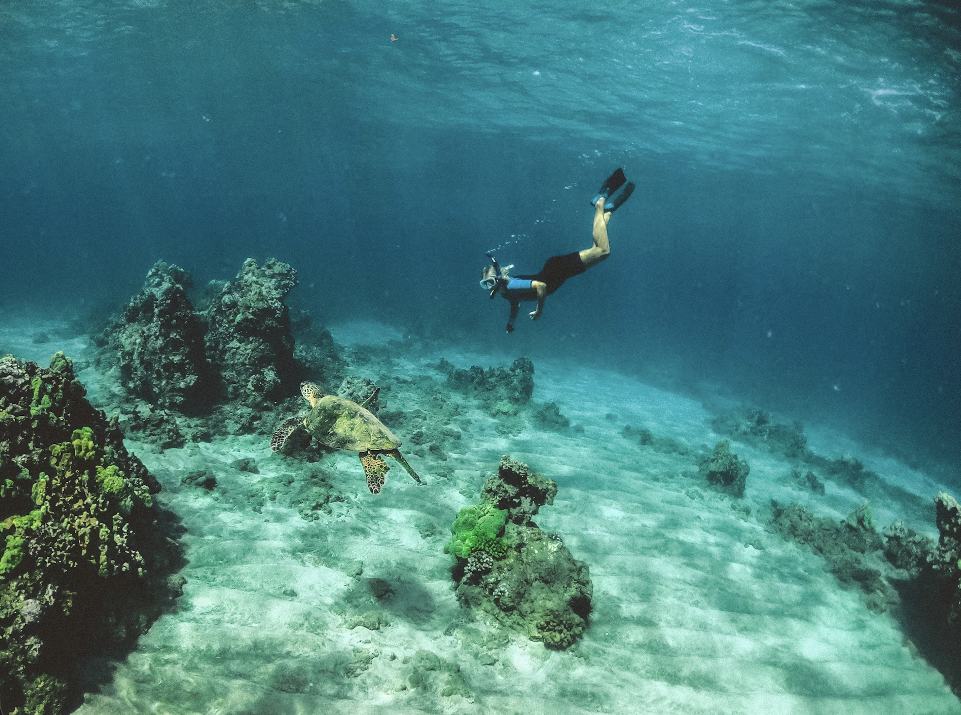 Capture d’écran 2026-02-04 à 23.32.09.png