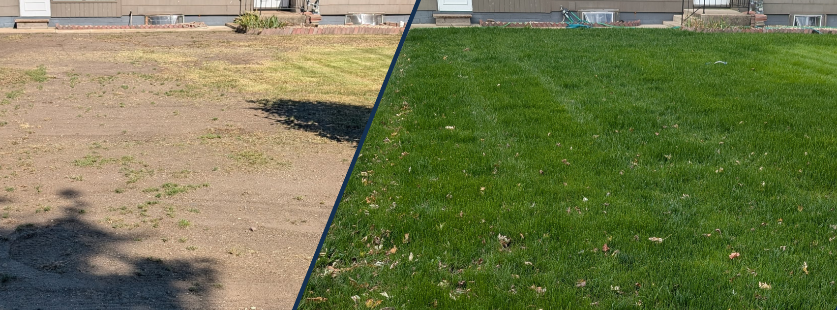 Before and after of a client's yard from sparse grass to a thick green lawn.