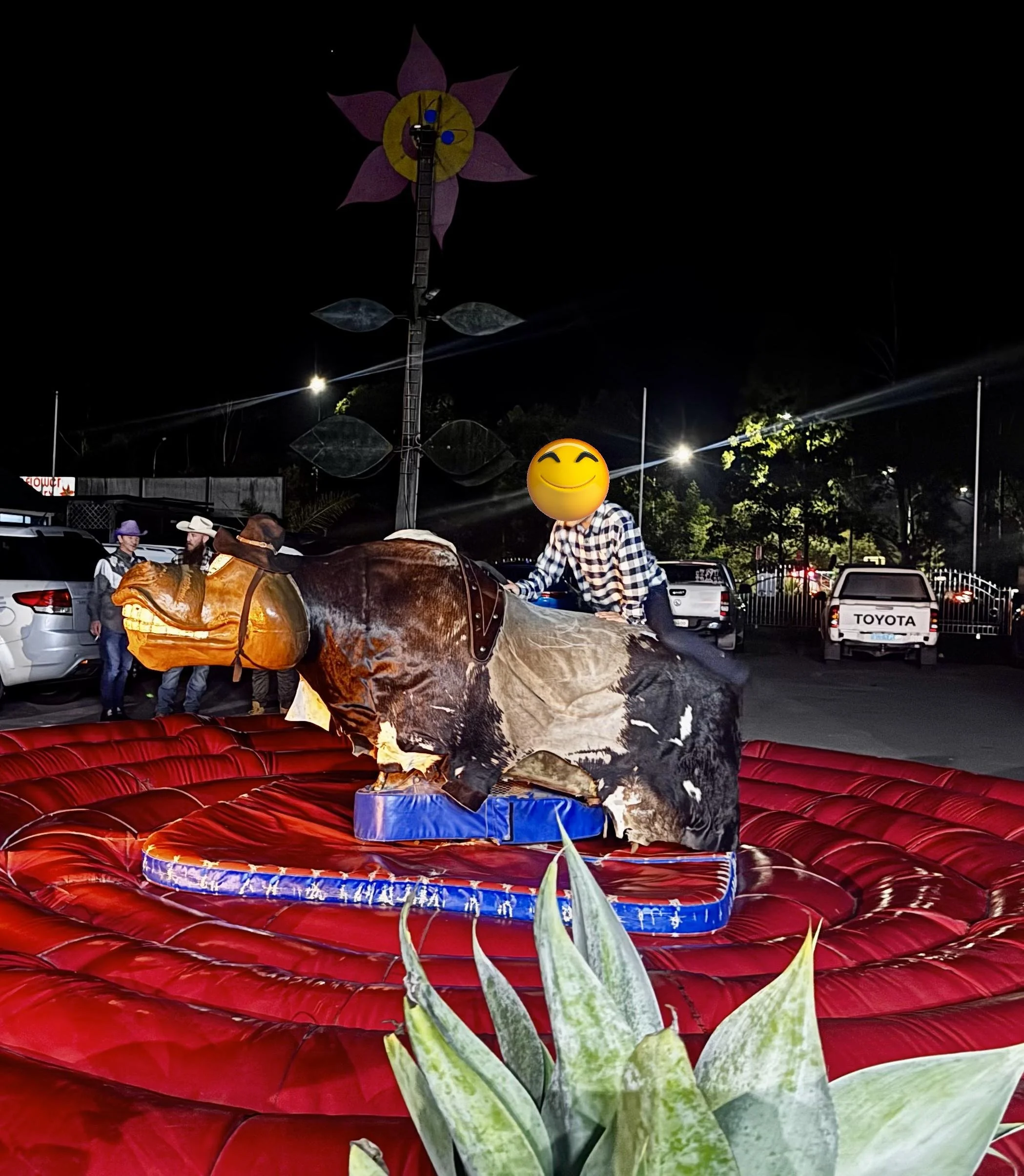 20250531_084905242_iOS 1.JPG