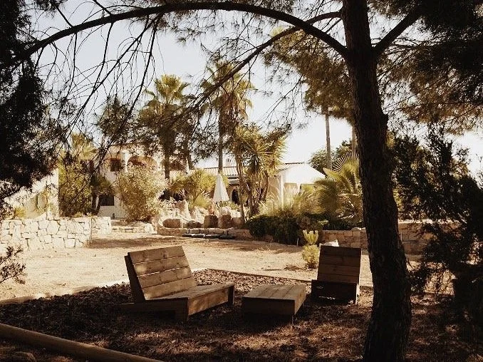 Private pool surrounded by olive trees at Quinta do Rei in Olhão.