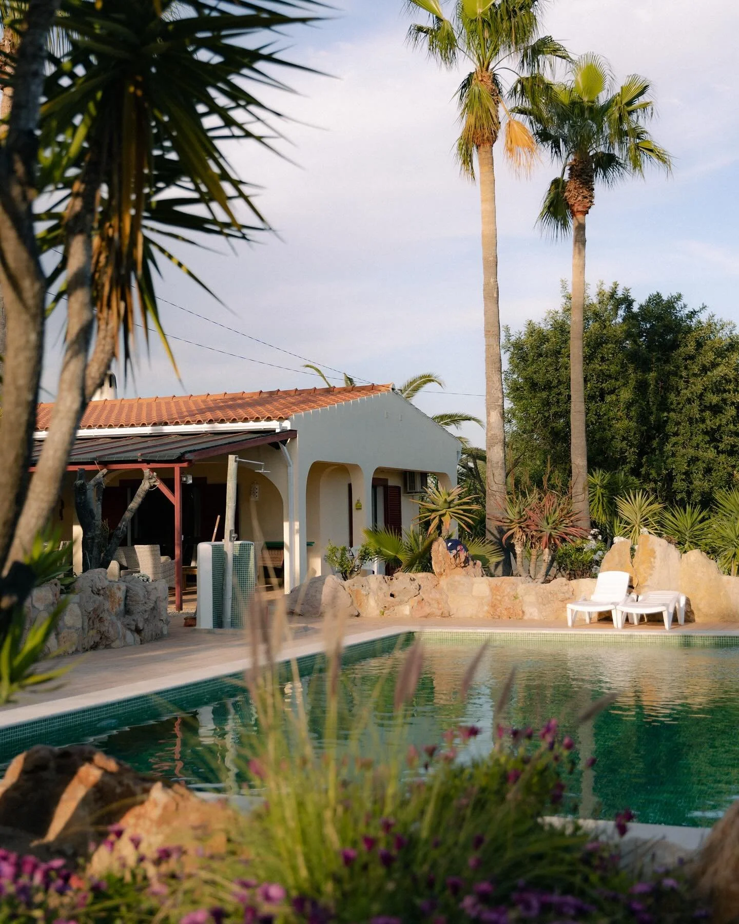 House update coming soon - all sorts of new places to chill, rest and eat will be added to make our kingdom even more pleasant 🌀🦋