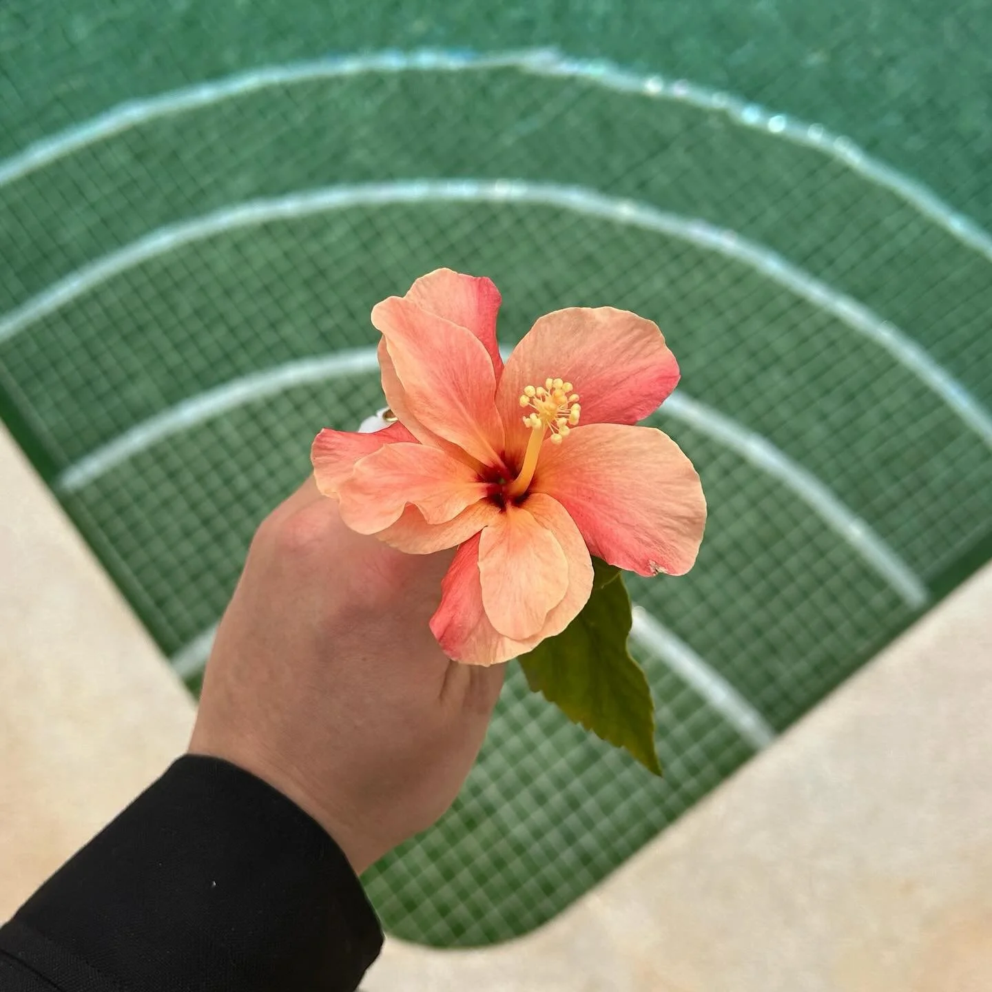 🧡 SPRING EQUINOX @ QUINTA DO REI 🧡