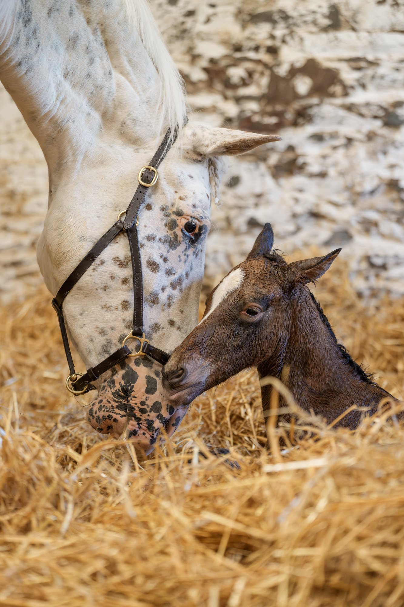 15 minutes old