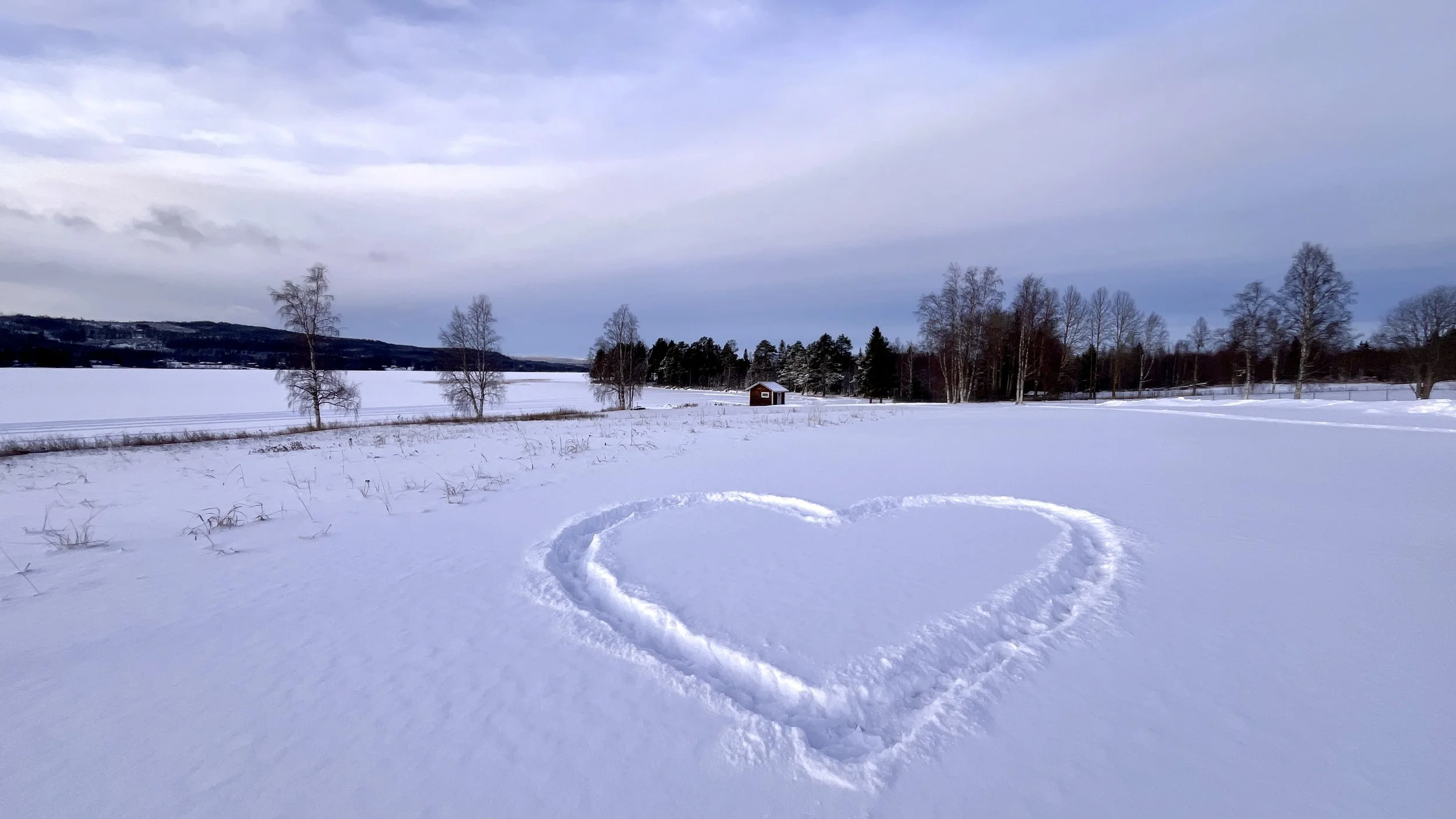 Was kostet ein Branding?