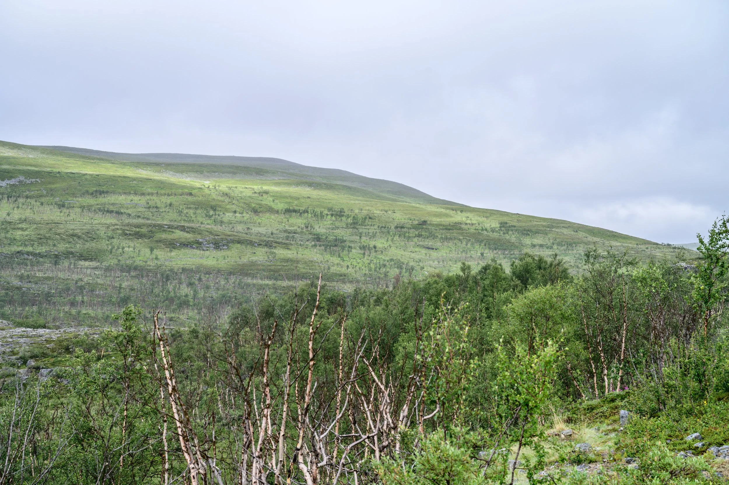 Du gründest — hier ist was du für deinen Auftritt brauchst