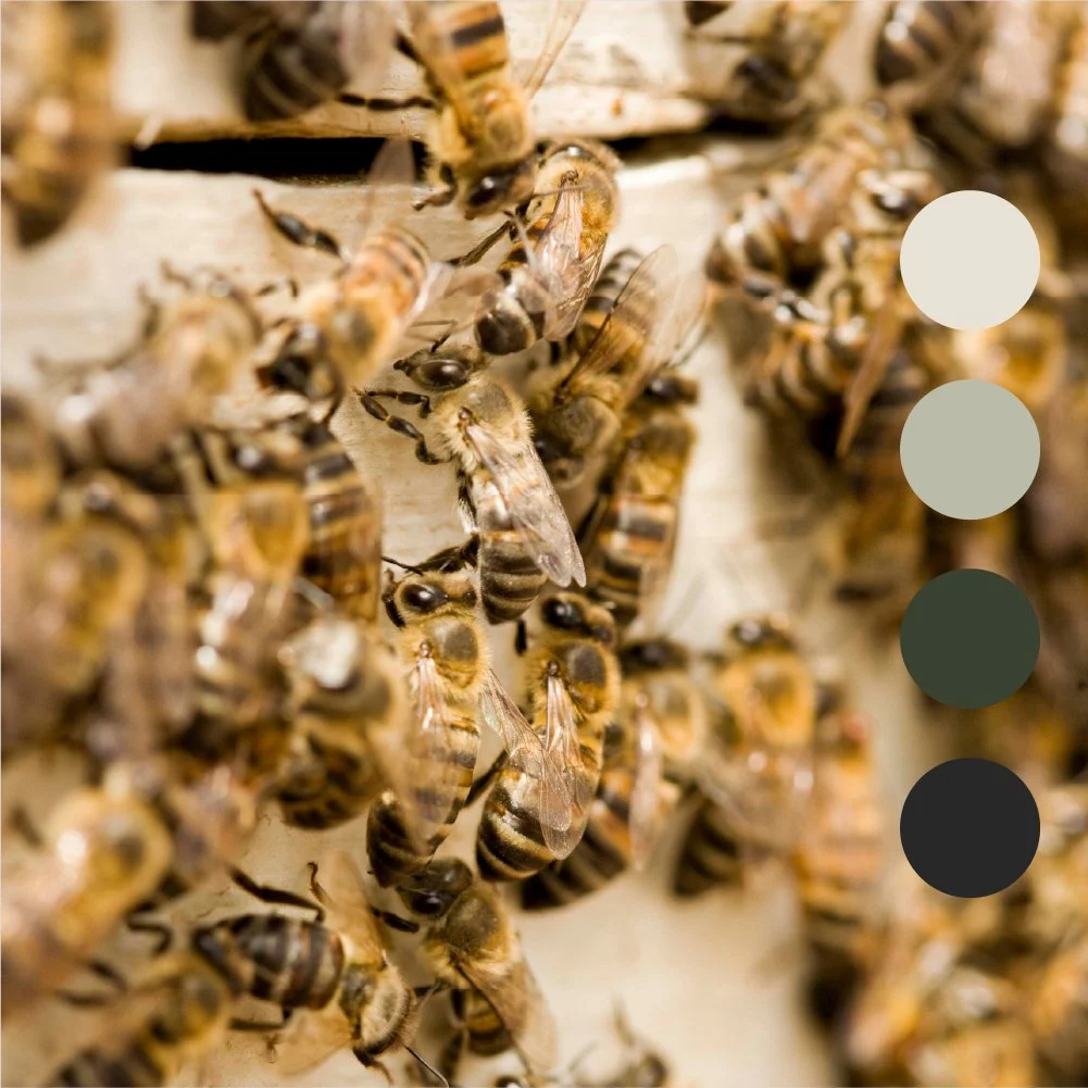 Brand Board - Alpenbiene2.jpg