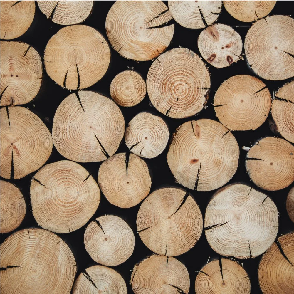 Brand Board - Arve8.jpg