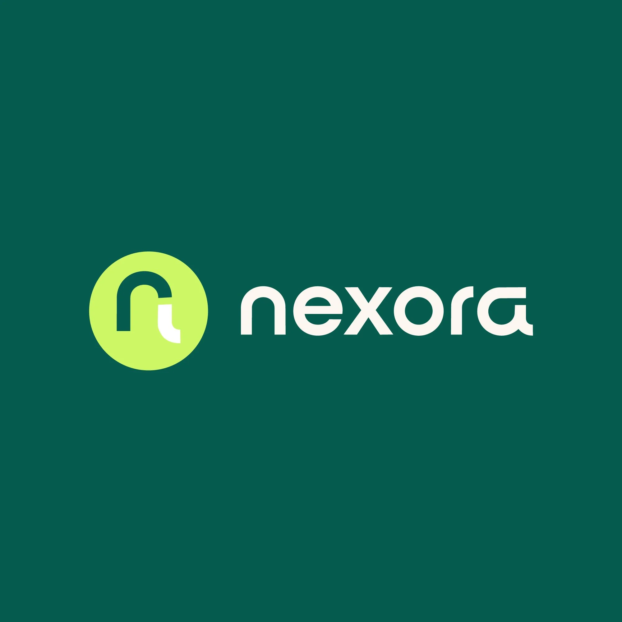 Brand Board - nexora1.jpg